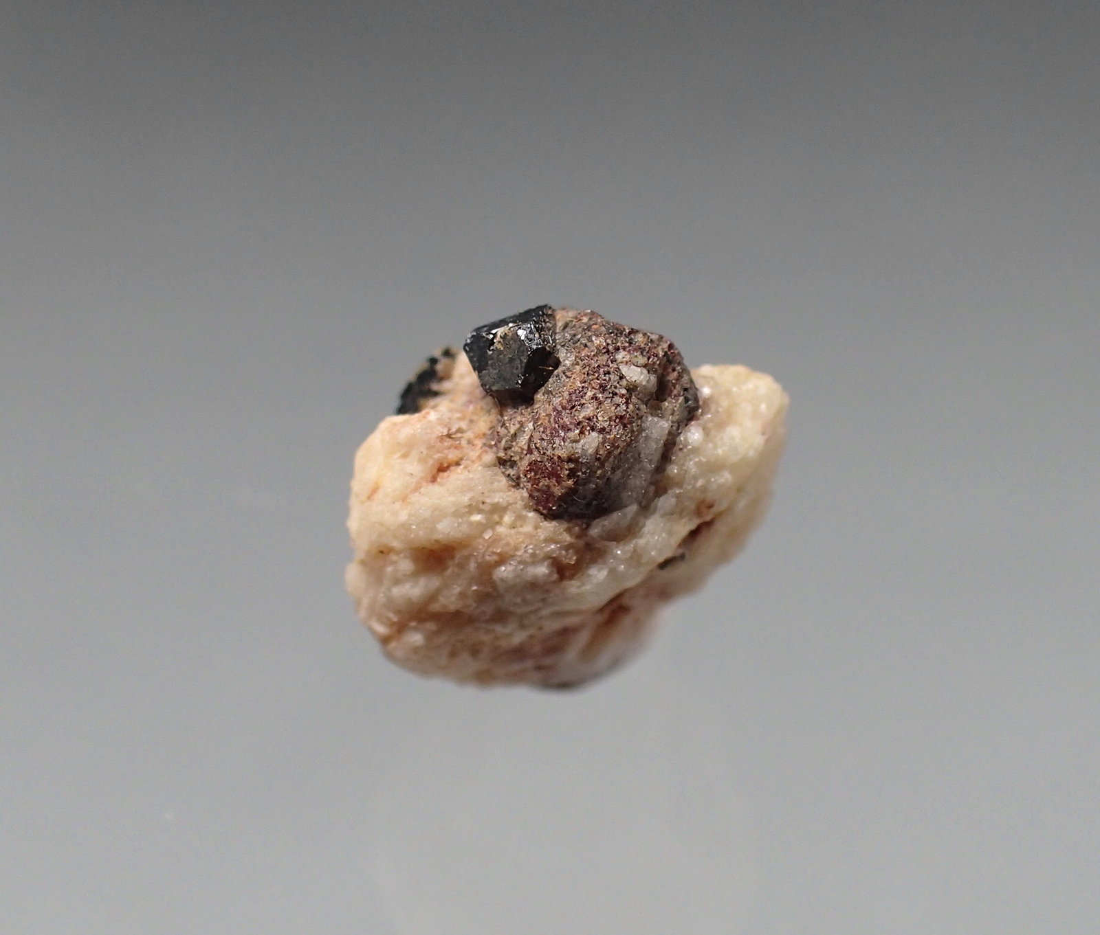 Kimzeyite, Perovskite, Albite
11mm x 11mm x 7mm
(Autor: Don Lum)