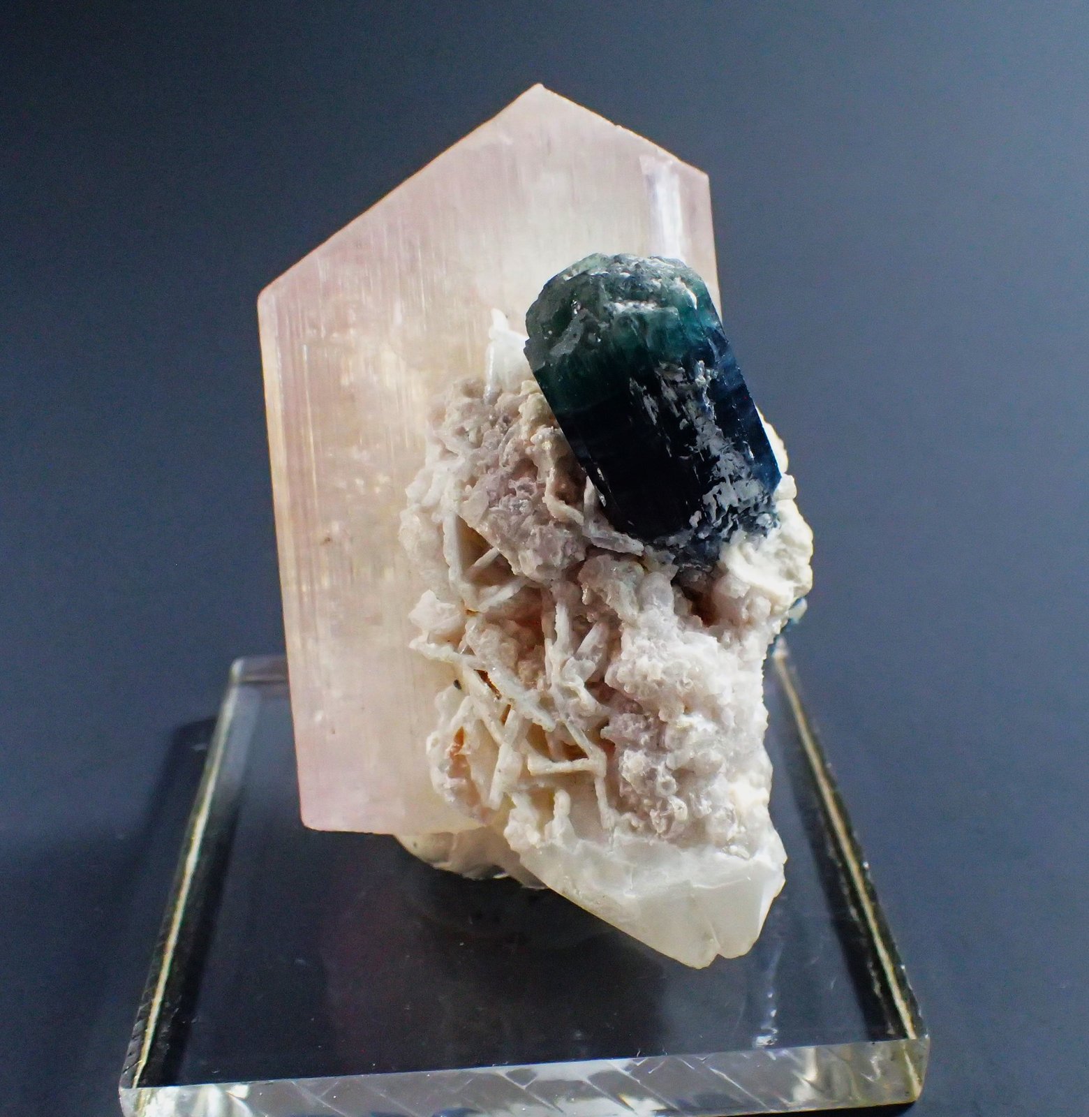 Spodumene (variety kunzite), Indicolite (Tourmaline Group), Albite
65 mm x 35 mm x 40 mm
(Autor: Don Lum)