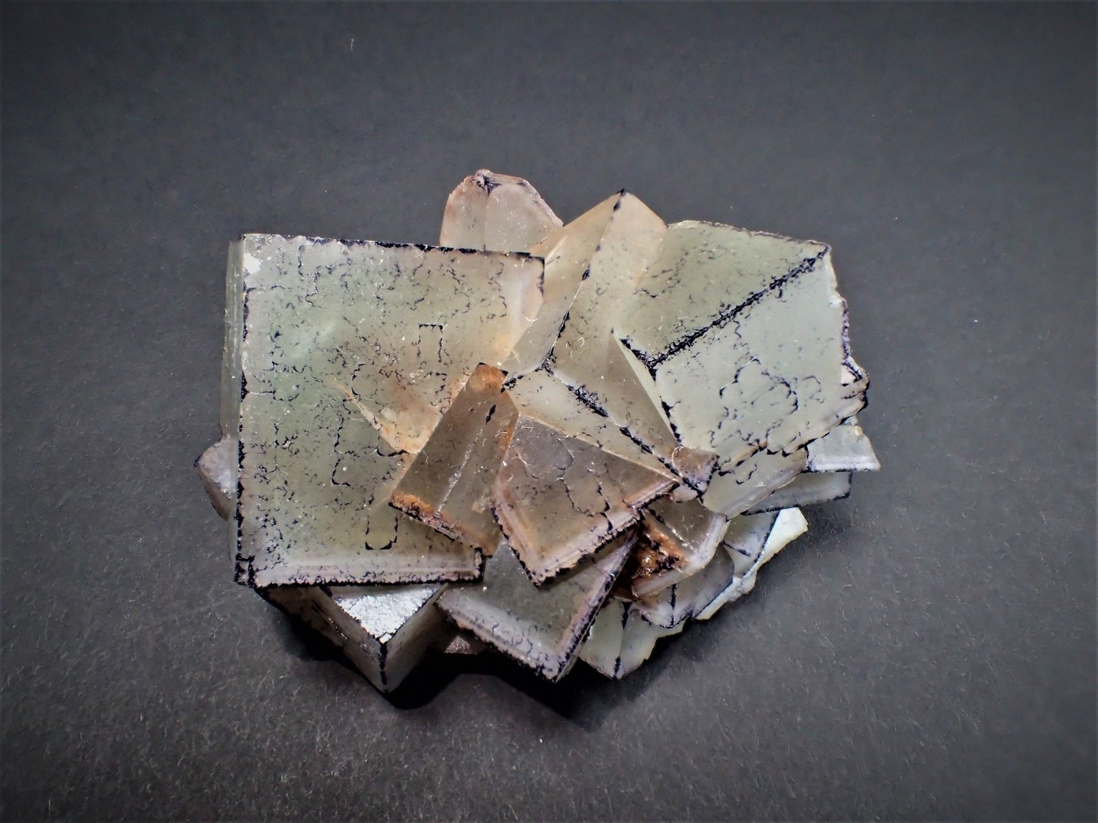 Fluorite
69 mm x 55 mm x 37 mm
(Autor: Don Lum)