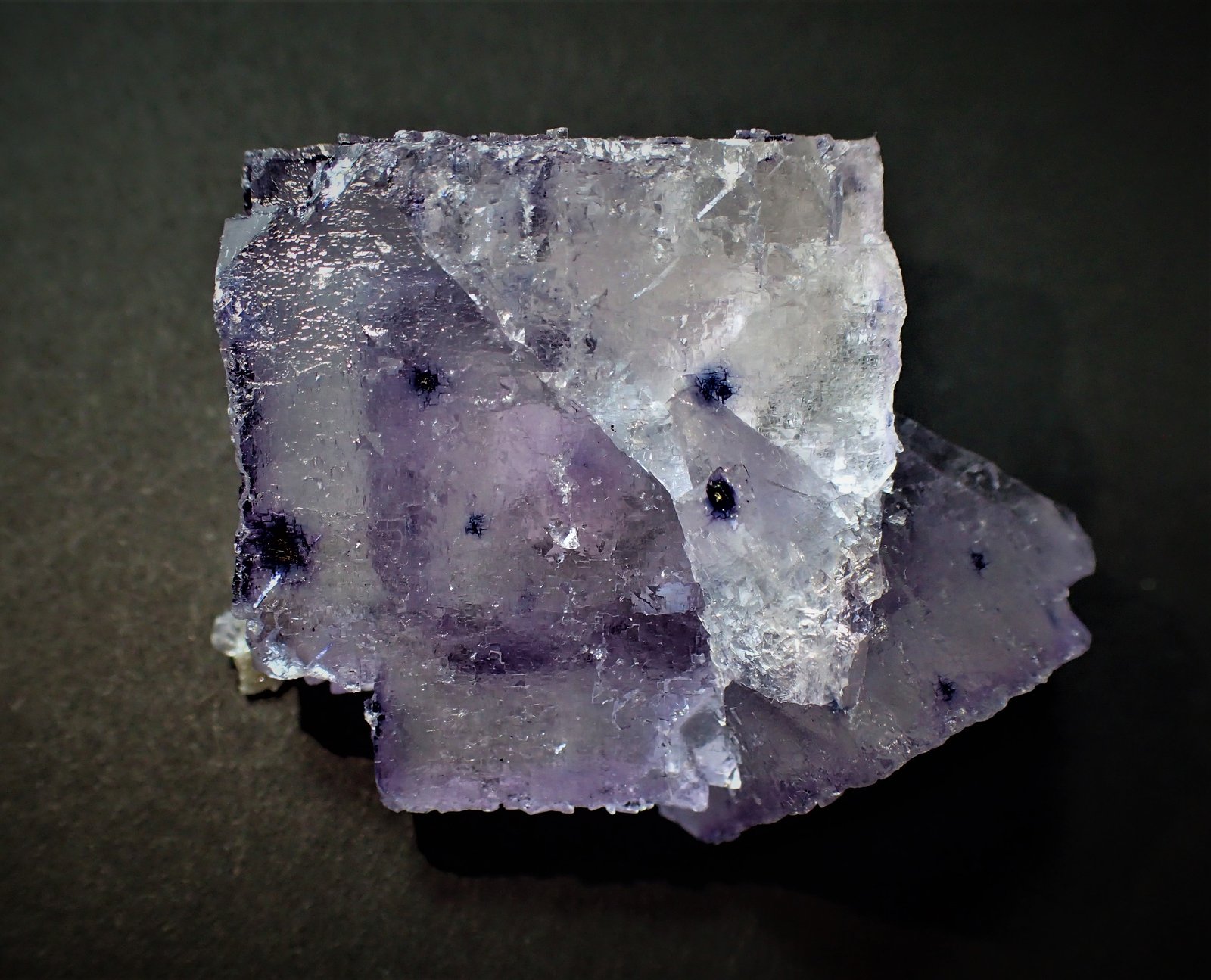 Fluorite
44 mm x 38 mm x 22 mm
(Autor: Don Lum)