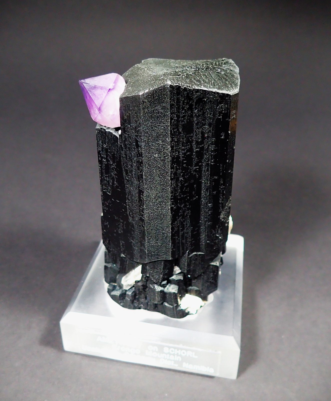 Schorl (Tourmaline Group), Quartz (variety amethyst)
115 mm x 80 mm x 65 mm
(Autor: Don Lum)