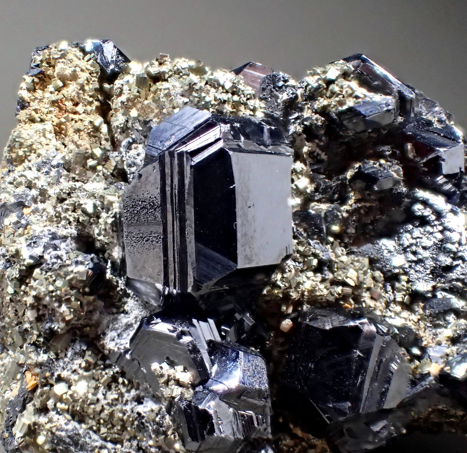 Sphalerite, Pyrite
80mm x 55mm x 50mm
(Autor: Don Lum)