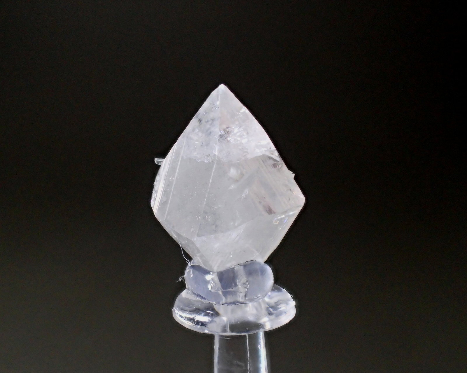Powellite, Scolecite
11mm x 7mm x  6mm
(Autor: Don Lum)