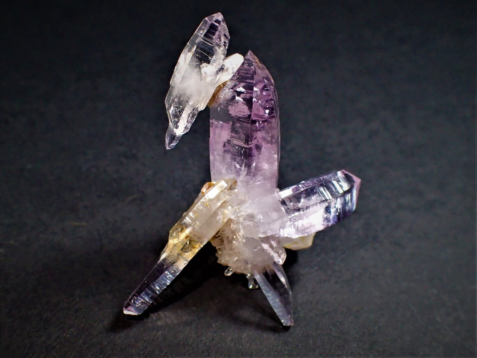 Quartz (variety amethyst)
41 mm x 35 mm x 21 mm
(Autor: Don Lum)