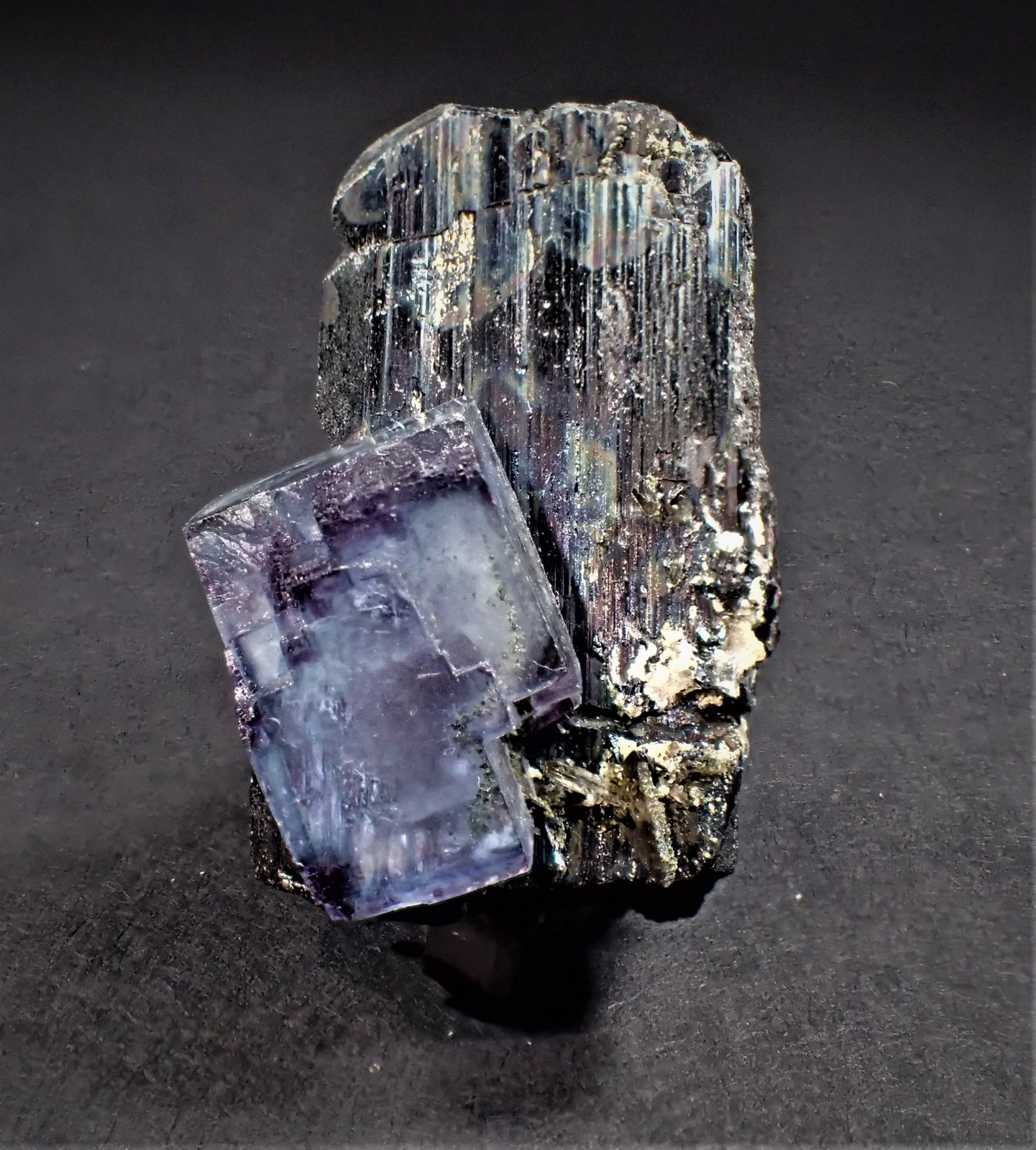 Fluorite, Wolframite, Quartz (variety smoky quartz)
40 mm x 33 mm x 20 mm
(Autor: Don Lum)