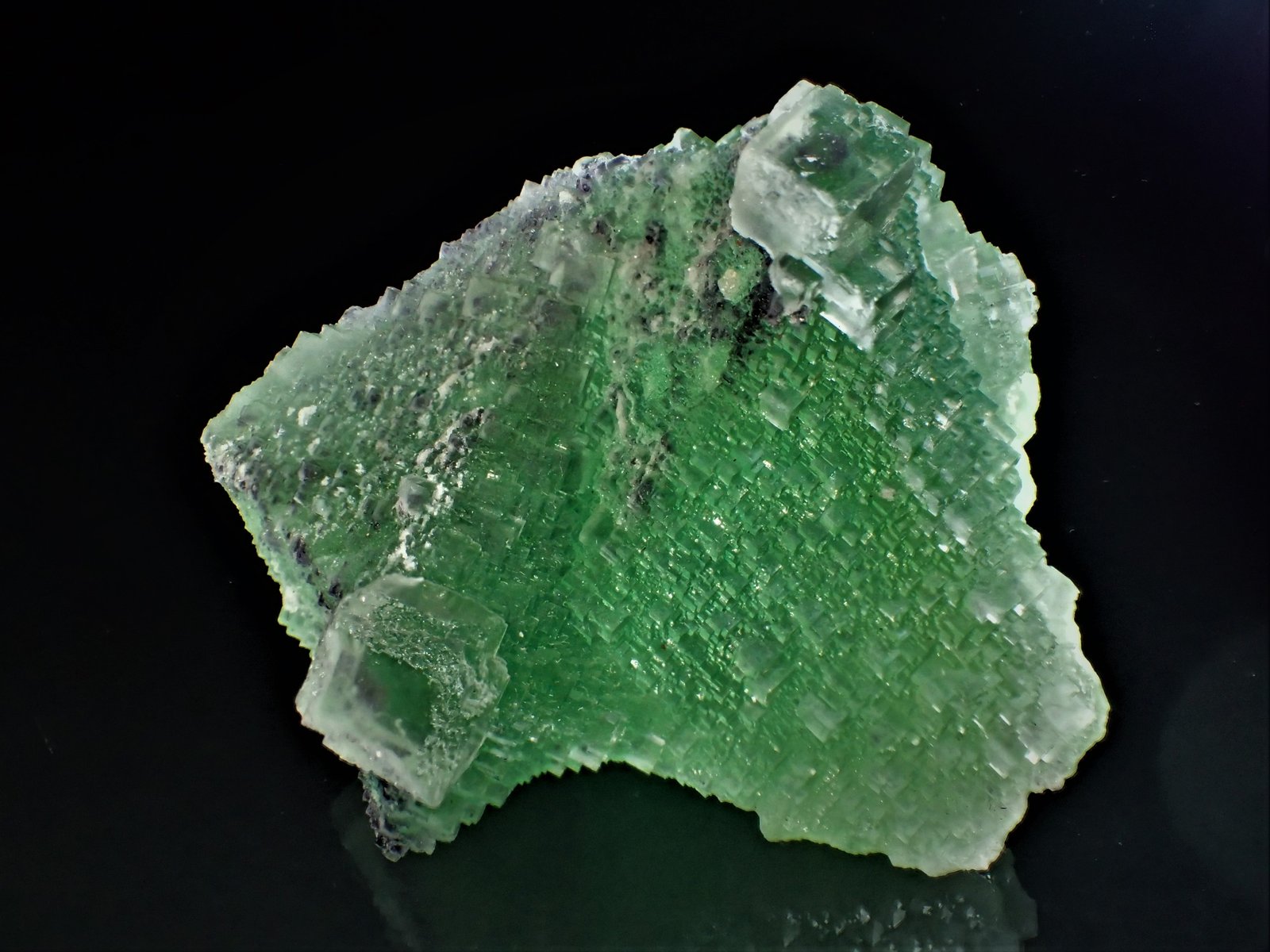 Fluorite, Quartz
82 mm x 66 mm x 50 mm
(Autor: Don Lum)