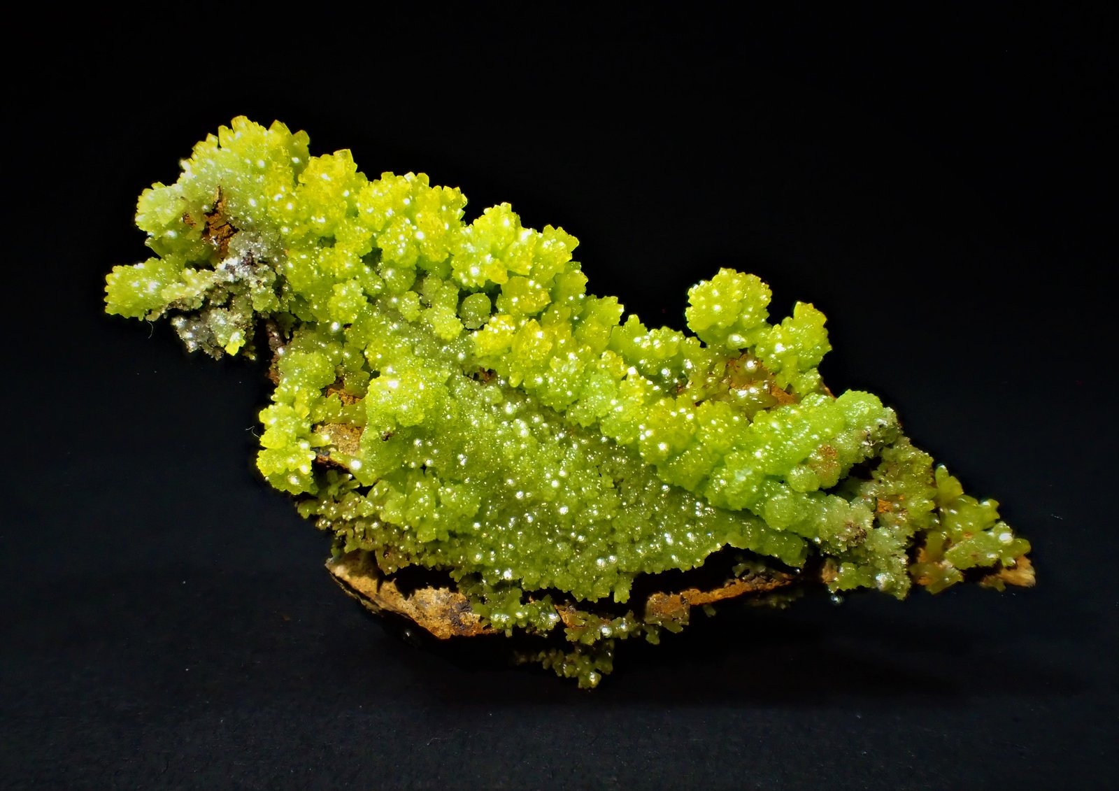 Pyromorphite
59 mm x 29 mm 25 mm
(Autor: Don Lum)