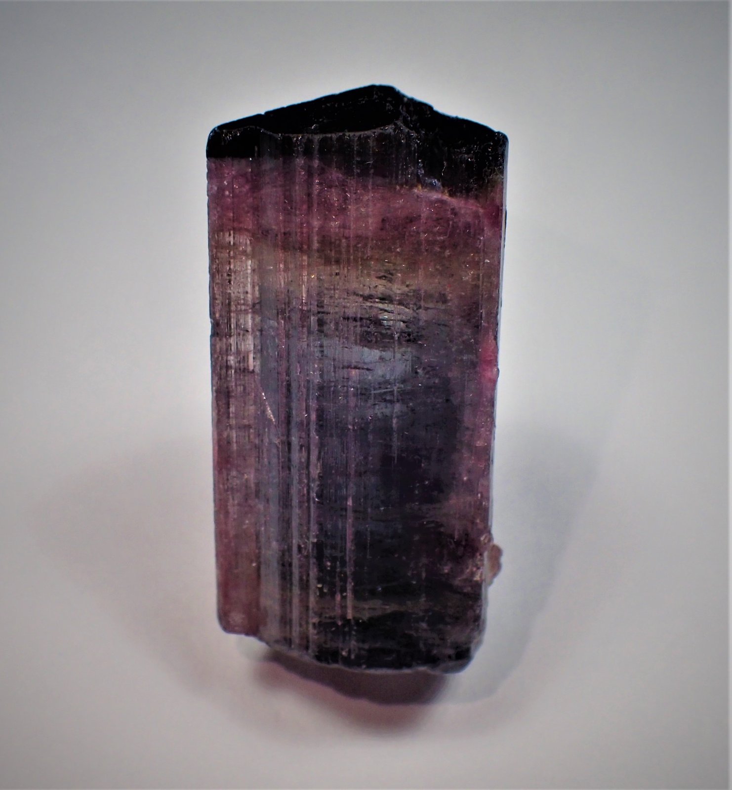 Elbaite (Tourmaline Group)
42 mm x 20 mm x 17 mm
(Autor: Don Lum)