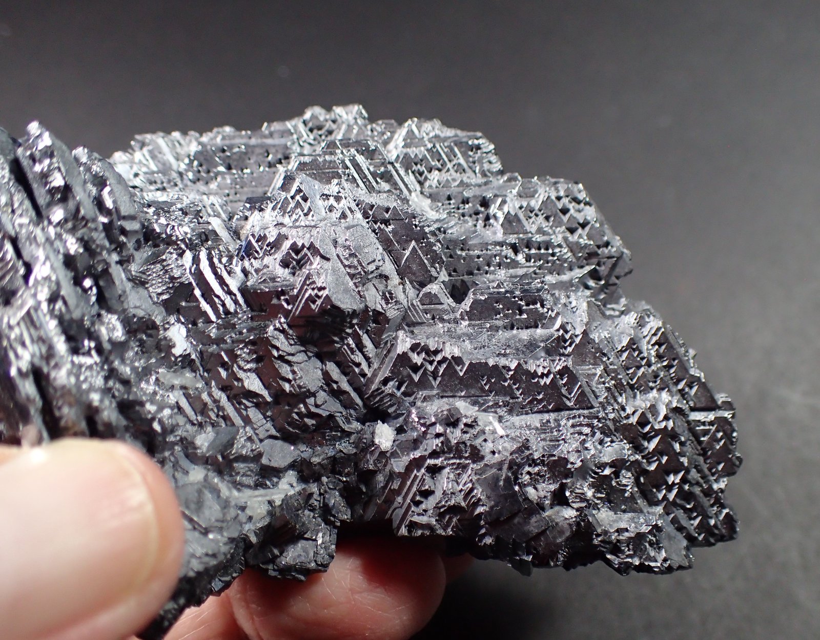 Galena (variety spinel twin), Quartz
105 mm x 62 mm x 46 mm
(Autor: Don Lum)