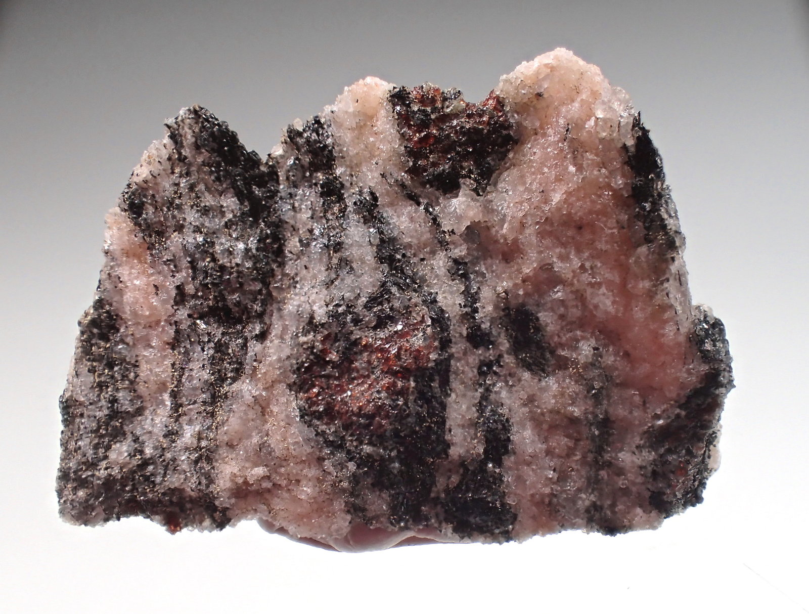 Gneiss, Garnet (Group)
28.4mm x 21.3mm x 6.6mm
(Autor: Don Lum)