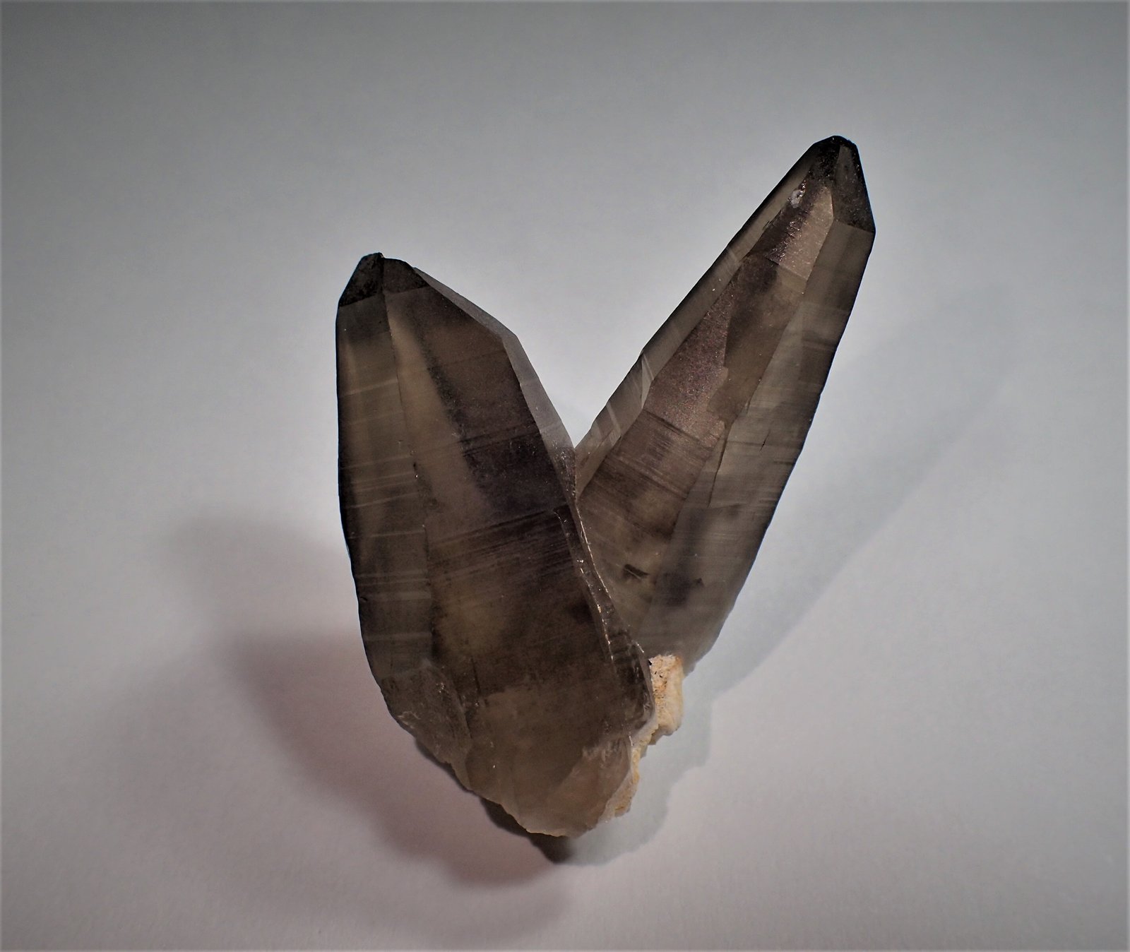 Quartz  (variety smoky quartz / variety tessin habit)
47 mm x 38 mm x 24 mm
(Autor: Don Lum)