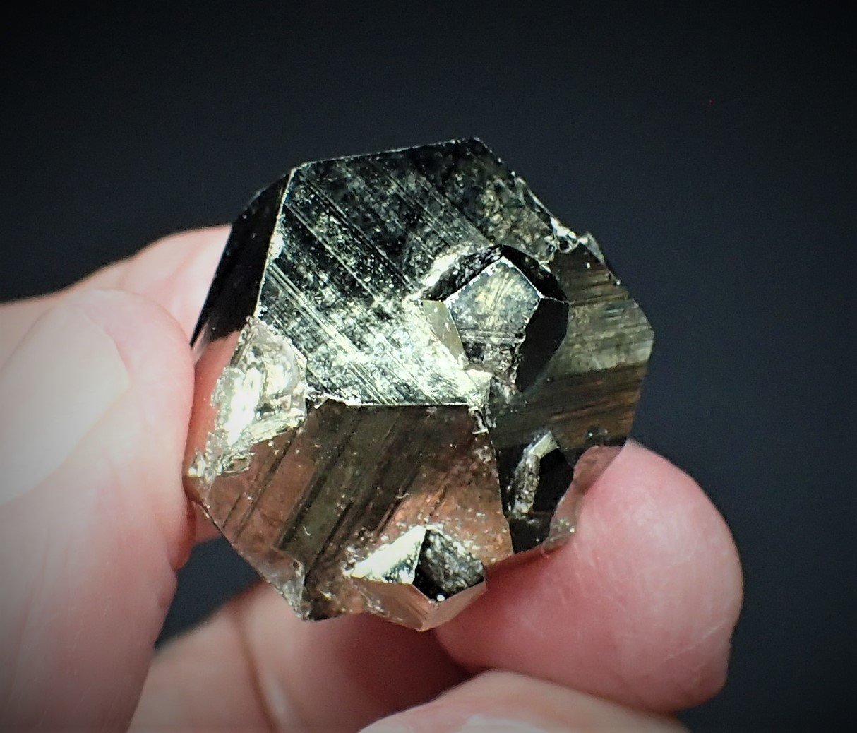 Pyrite
30 mm x 22 mm x 22 mm
(Autor: Don Lum)