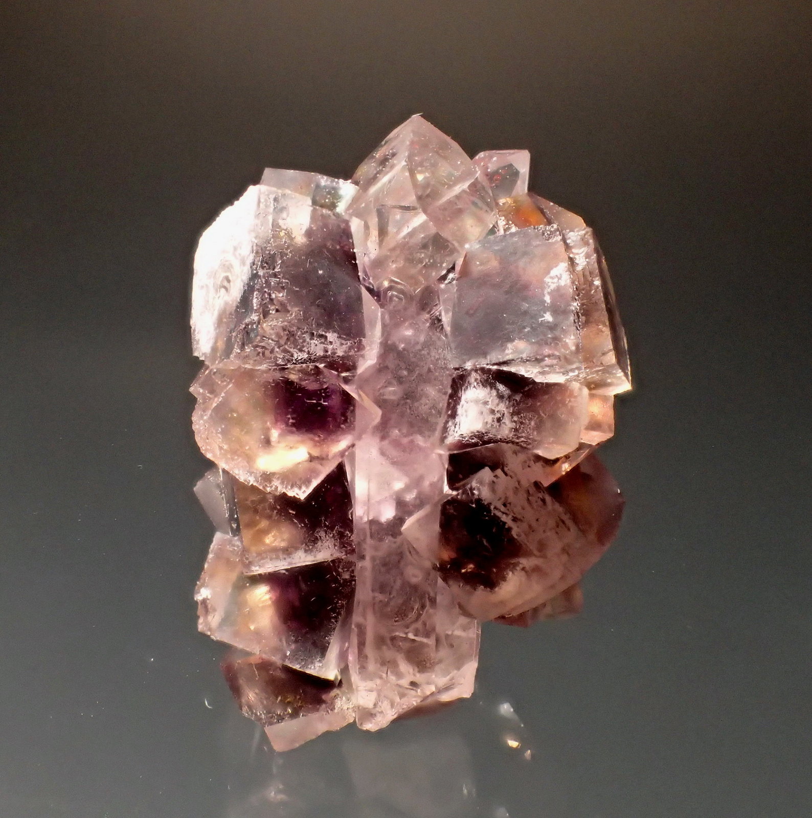 Fluorite, Quartz
24mm x 17mm x 13mm
(Autor: Don Lum)