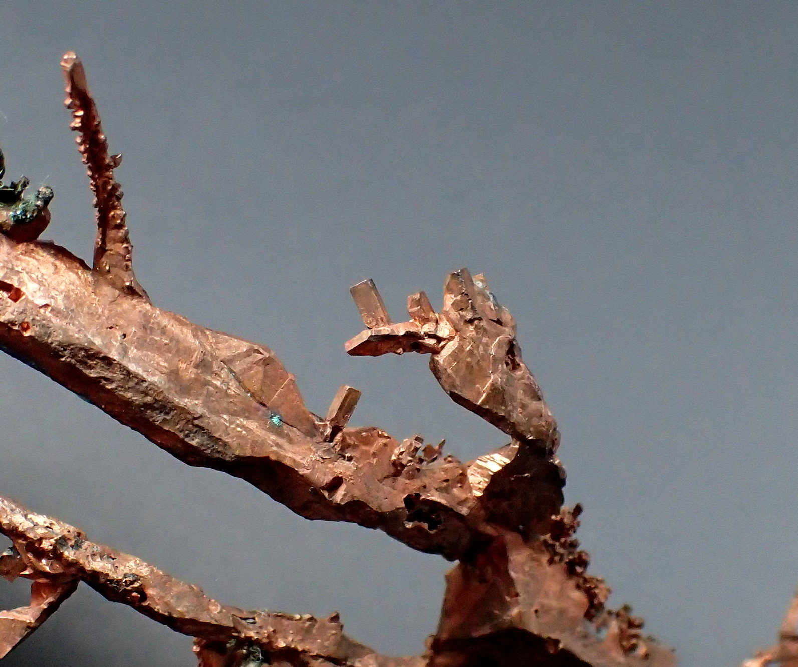 Copper
124mm x 48mm x 10mm
(Autor: Don Lum)