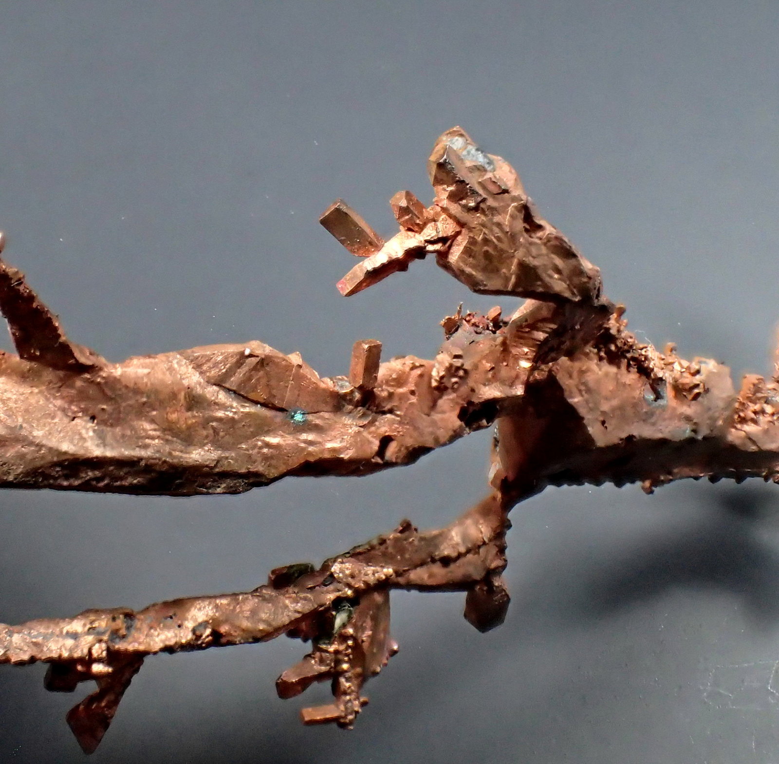 Copper
124mm x 48mm x 10mm
(Autor: Don Lum)