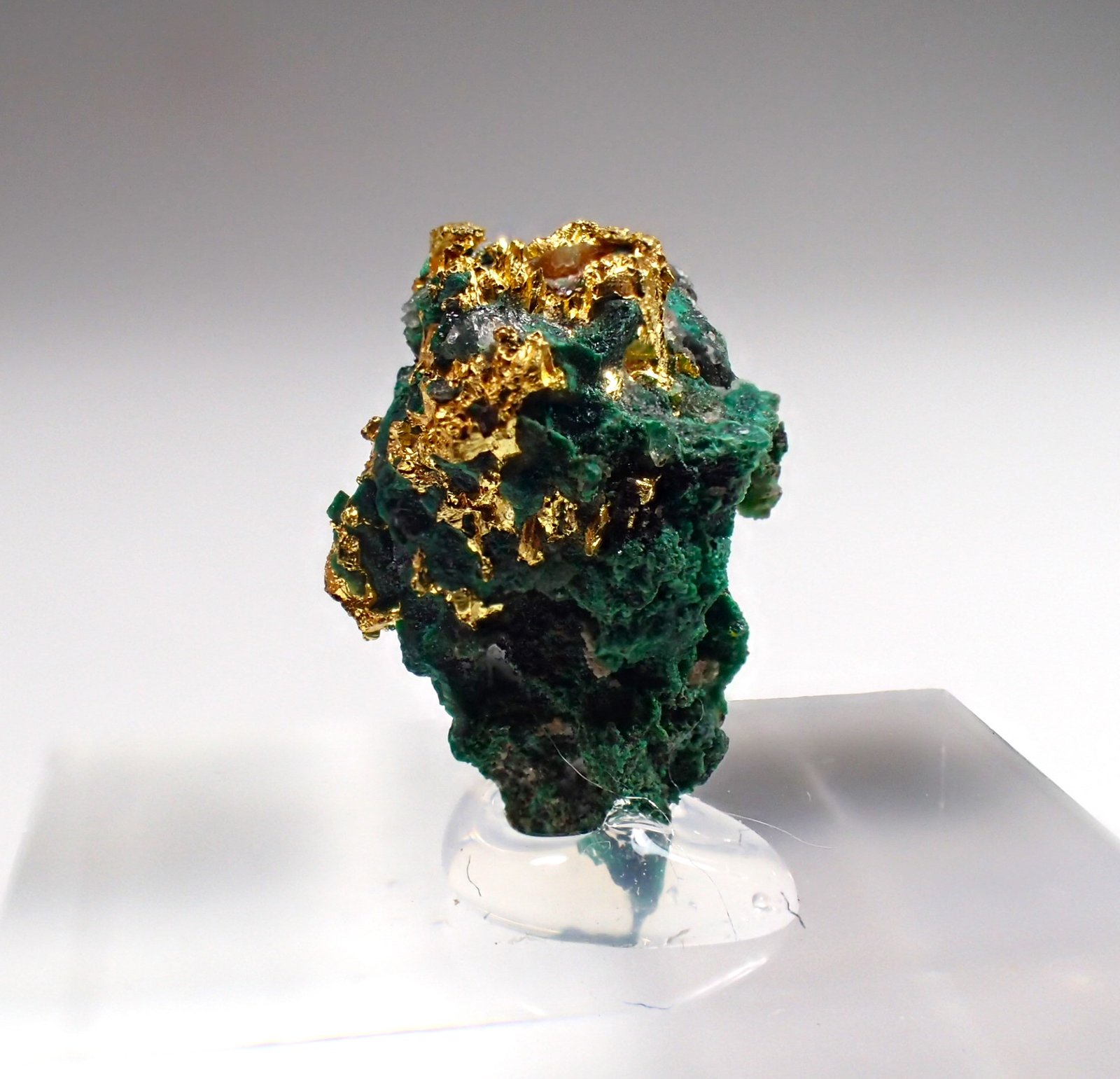 Gold, Malachite
12 mm x 8 mm x 6mm
(Autor: Don Lum)