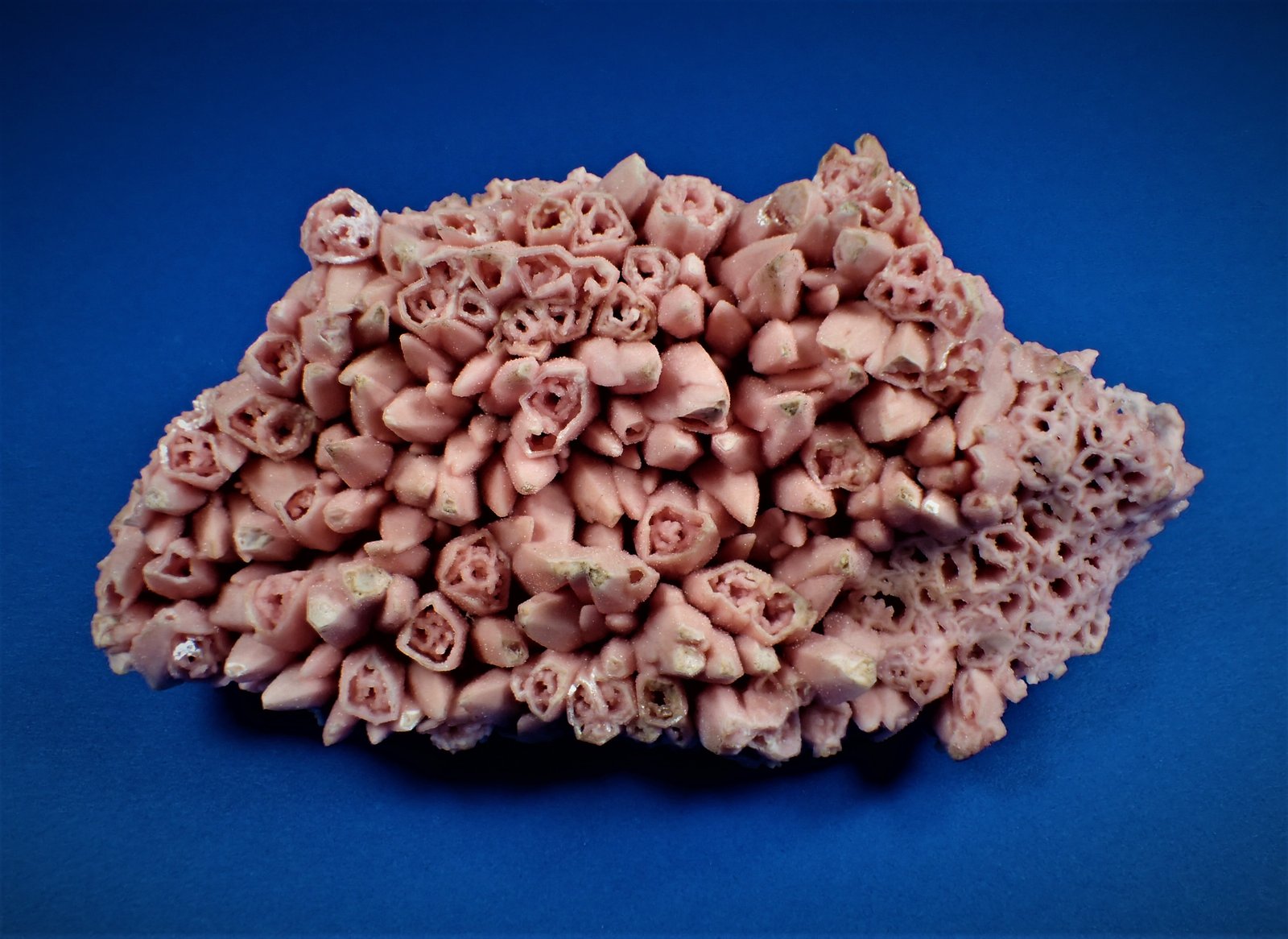 Rhodochrosite after Calcite
12 cm x 6.1 cm x 3.4 cm
(Autor: Don Lum)