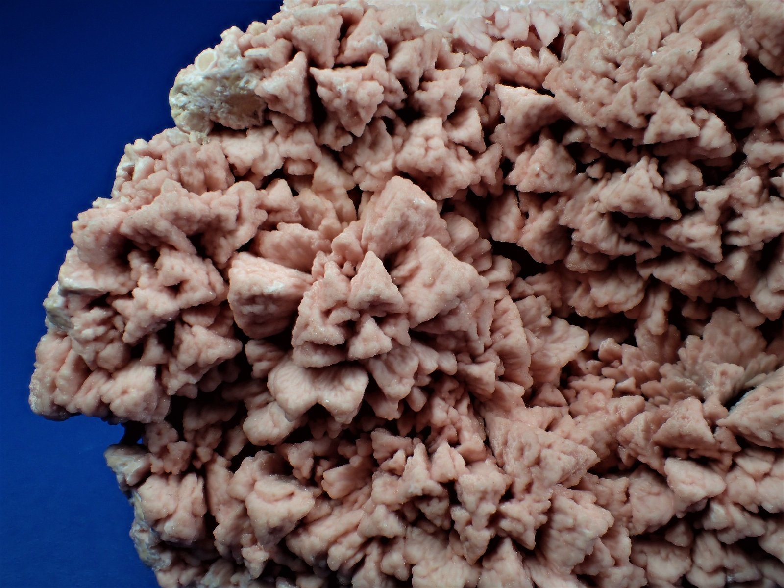 Rhodochrosite
15.2 cm x 11.7 cm x 4.7 cm
(Autor: Don Lum)
