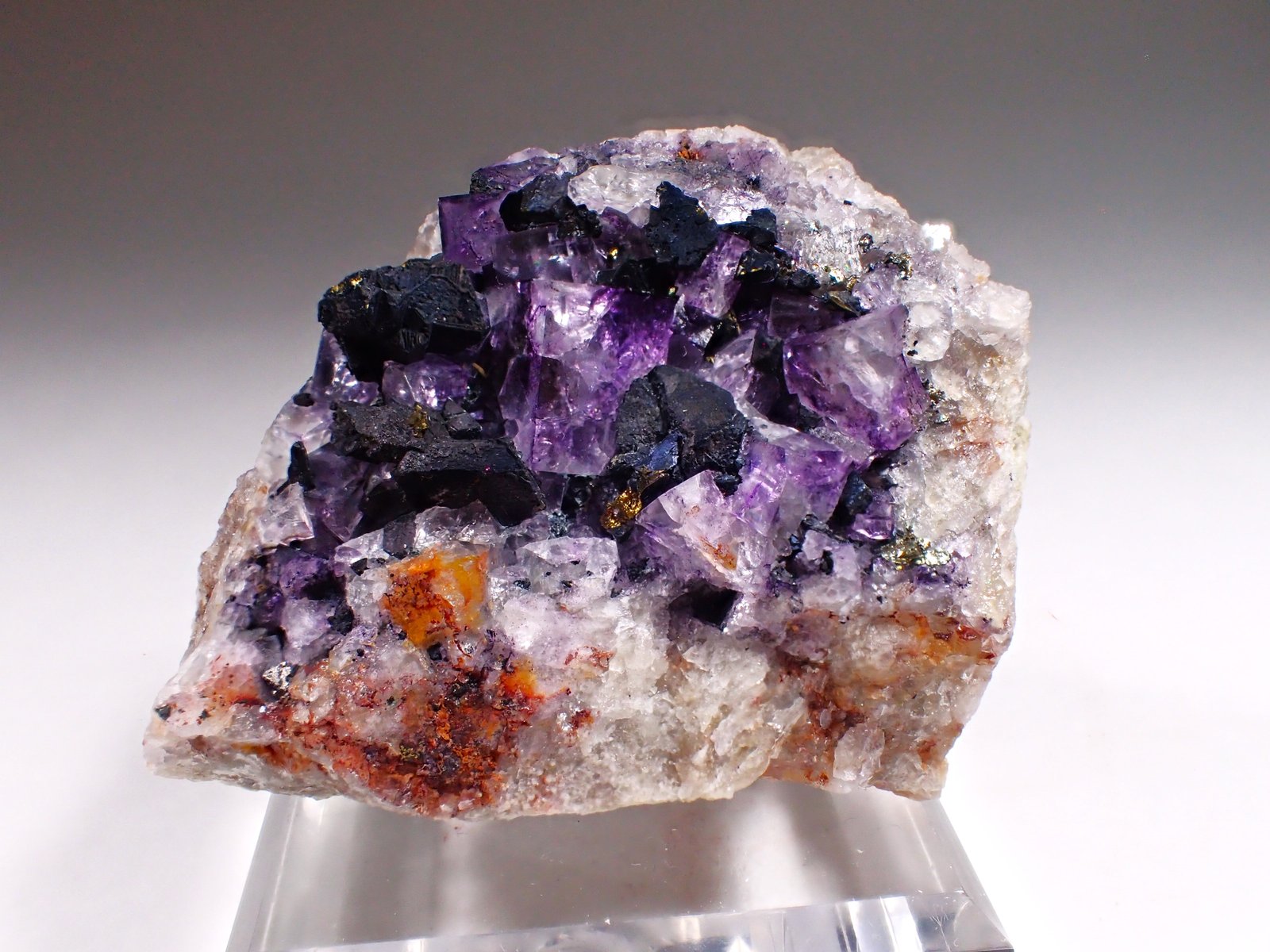 Covellite, Fluorite
62 mm x 59 mm x 42 mm
(Autor: Don Lum)