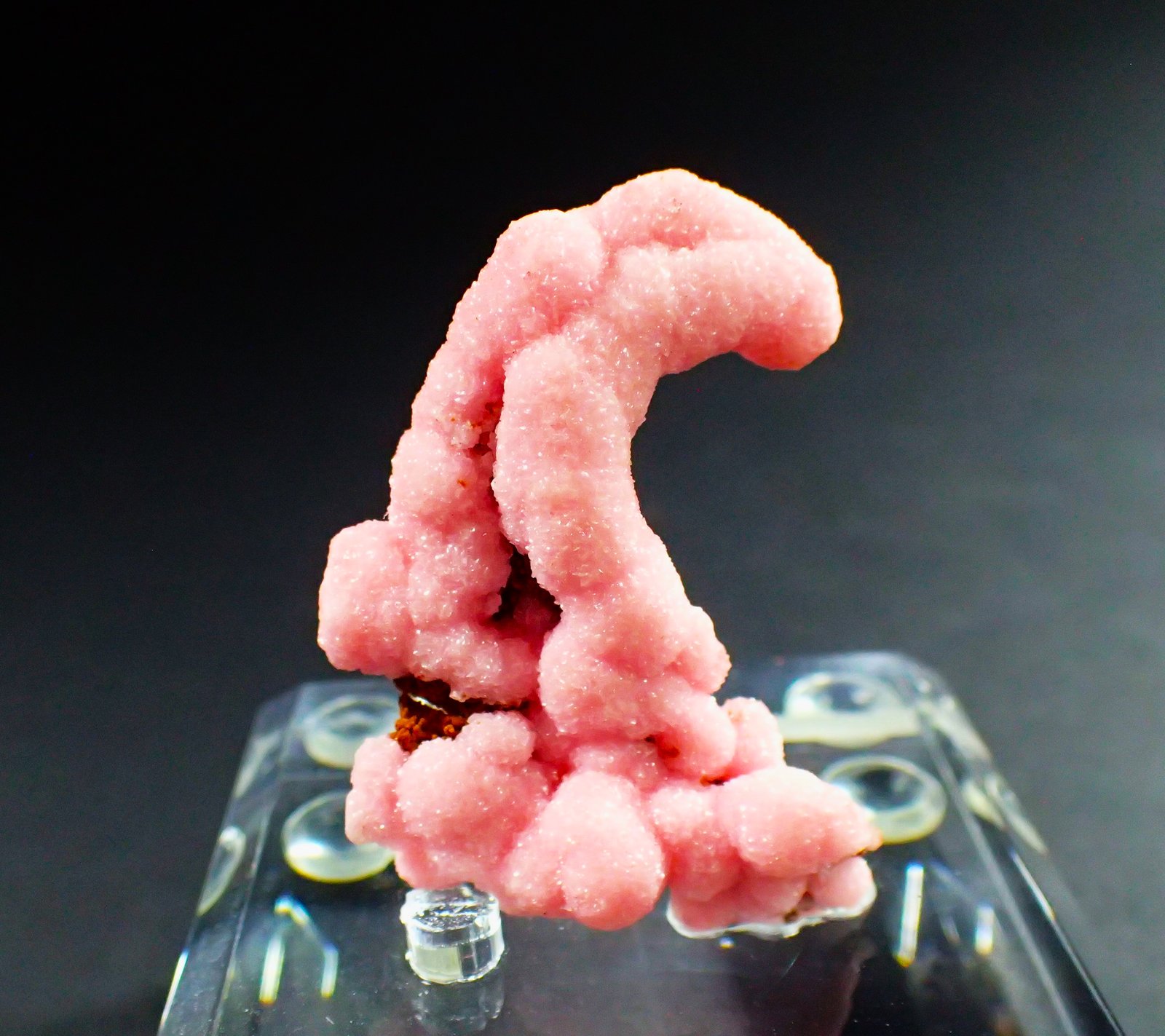 Rhodochrosite
39 mm x 28 mm x 14 mm
(Autor: Don Lum)