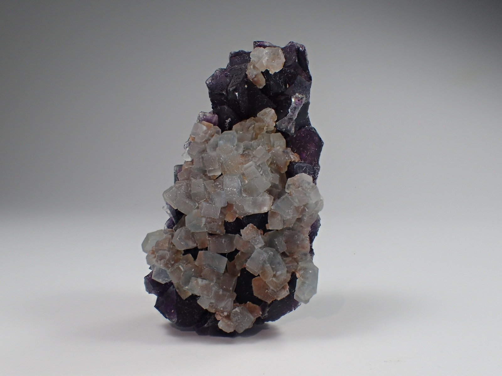 Celestine, Fluorite
56 mm x 31 mm x 27 mm
(Autor: Don Lum)