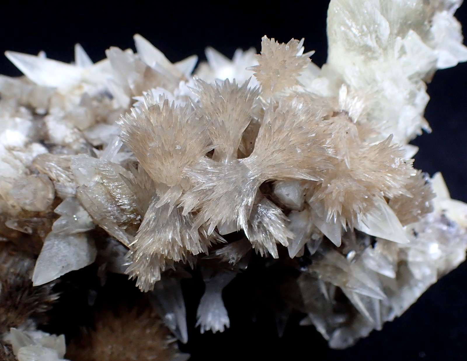 Strontianite, Calcite
125mm x 100mm x 75mm
(Autor: Don Lum)