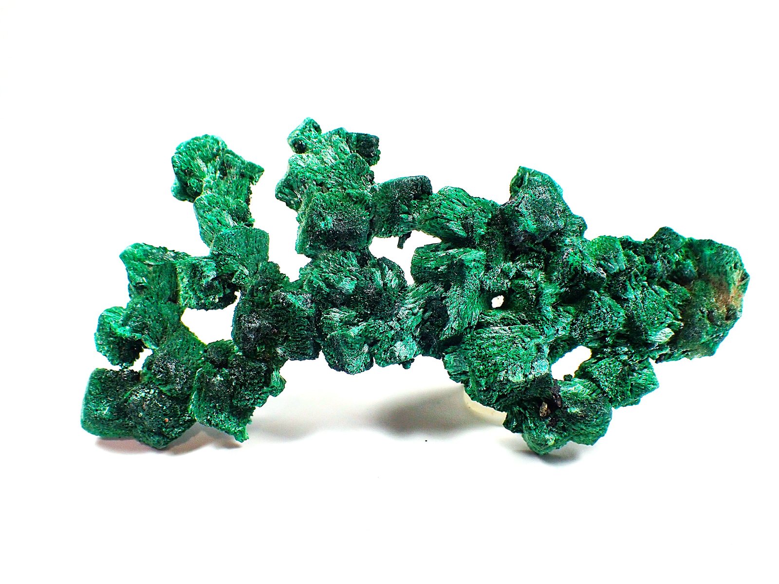 Malachite (variety fibrous malachite)
86 mm x 46 mm x 10mm
(Autor: Don Lum)