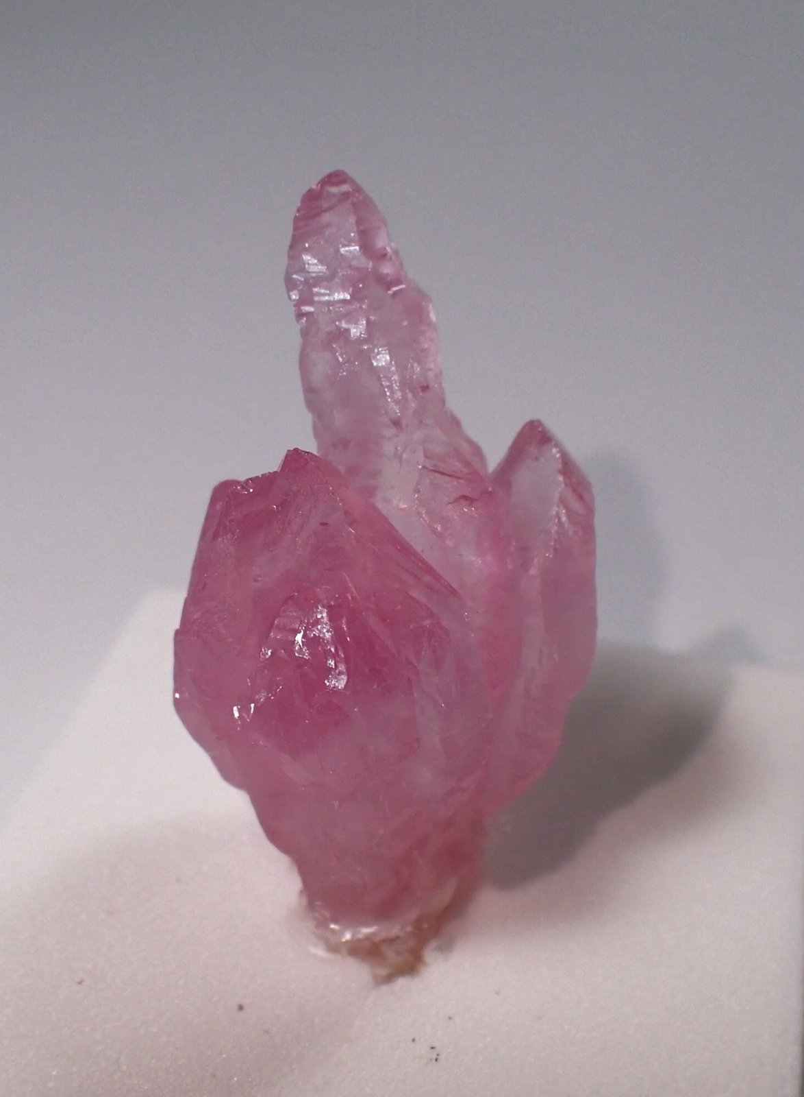 Quartz (variety rose quartz)
28 mm x 18 mm x 16 mm
(Autor: Don Lum)
