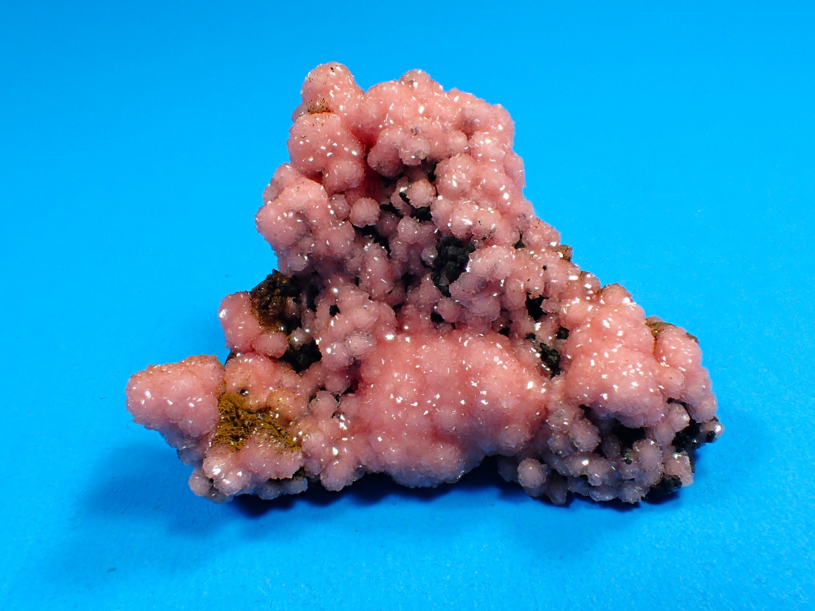 Rhodochrosite, Ilvaite
56 mm x 35 mm x 30 mm
(Autor: Don Lum)