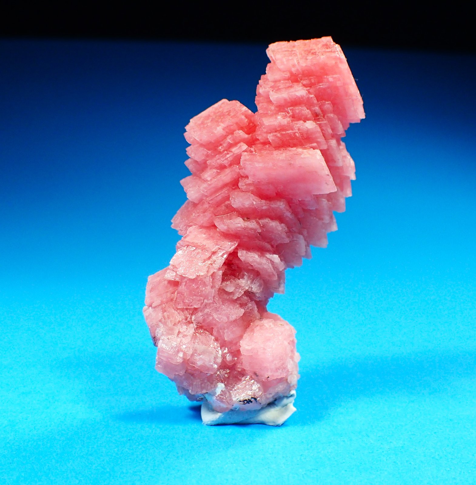 Rhodochrosite<br />{LOCALITAT}