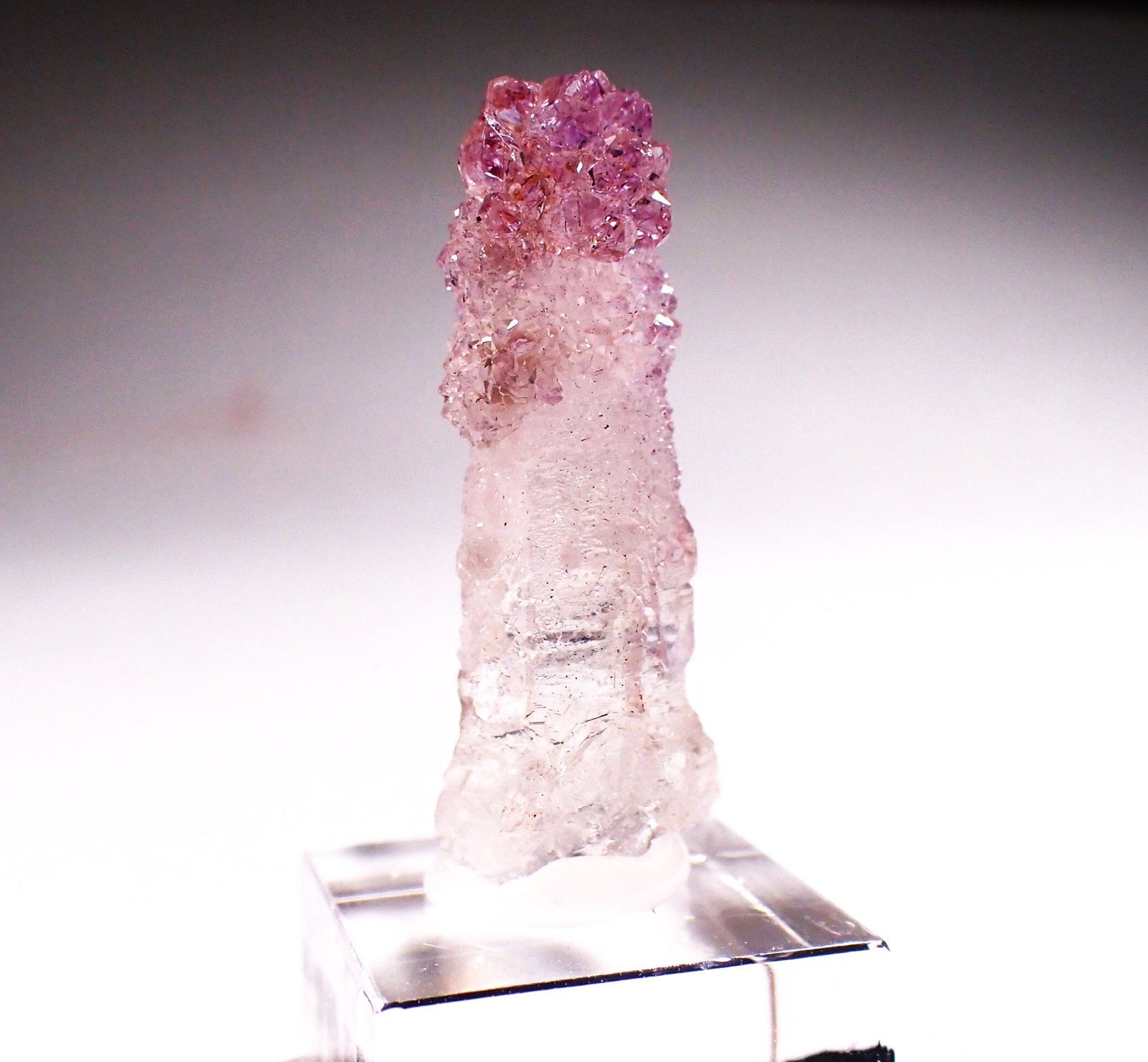 Quartz (variety amethyst scepter)
33 mm x 14 mm x 12 mm
(Autor: Don Lum)