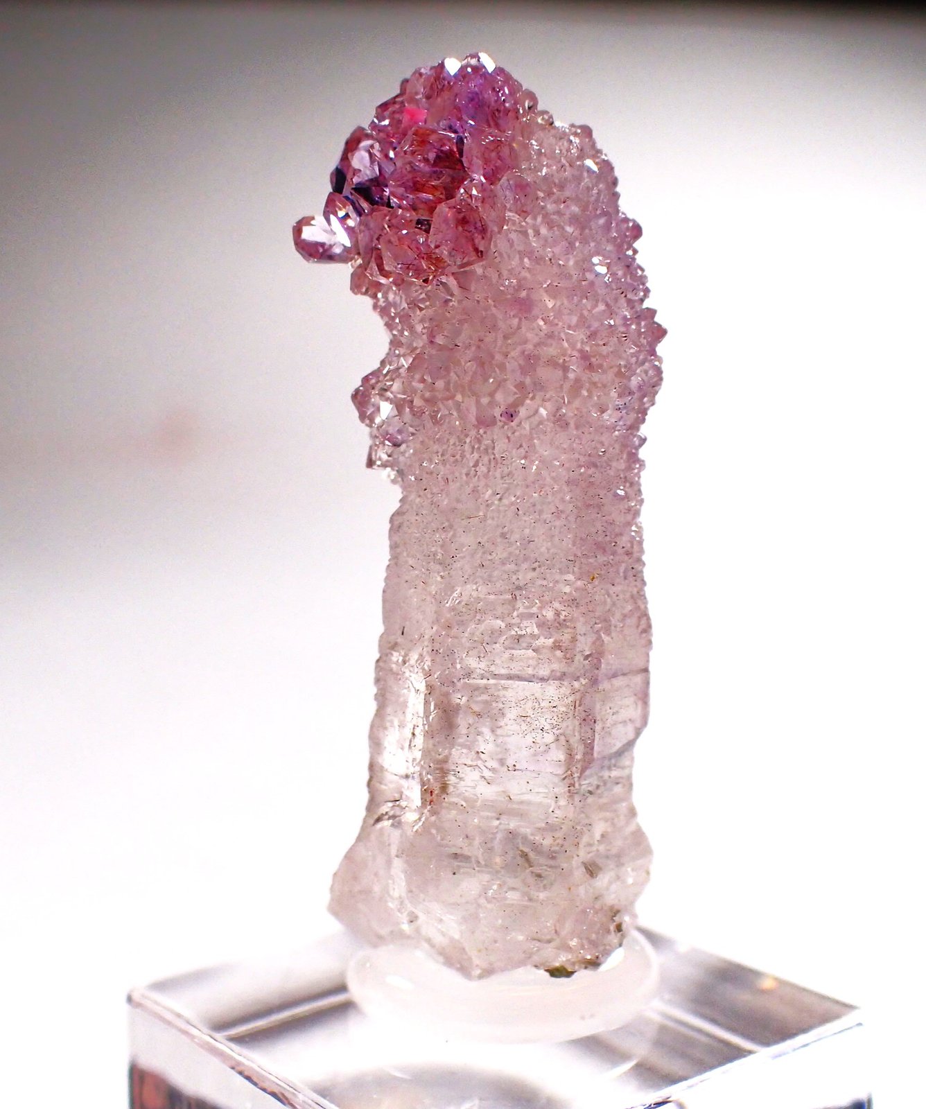 Quartz (variety amethyst scepter)
33 mm x 14 mm x 12 mm
(Autor: Don Lum)