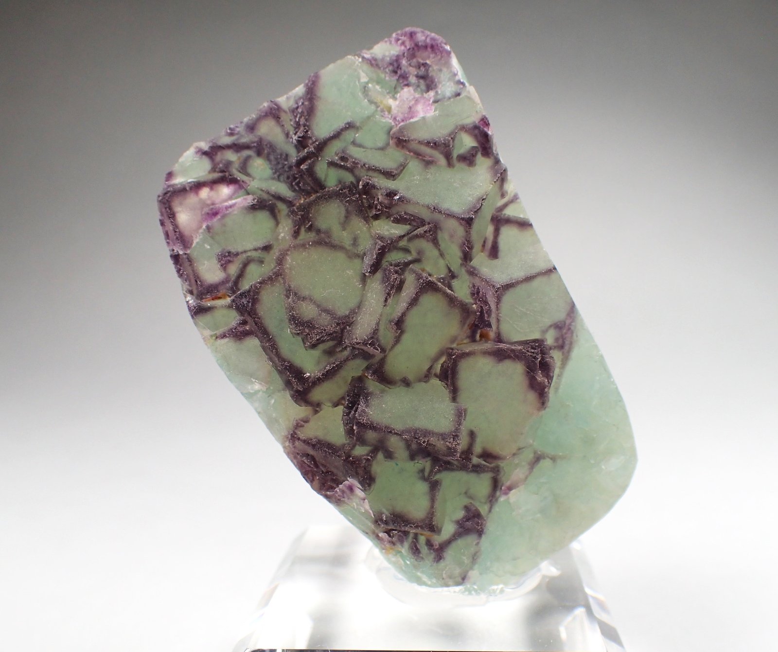 Fluorite, Quartz
60 mm x 50 mm x 22 mm
(Autor: Don Lum)