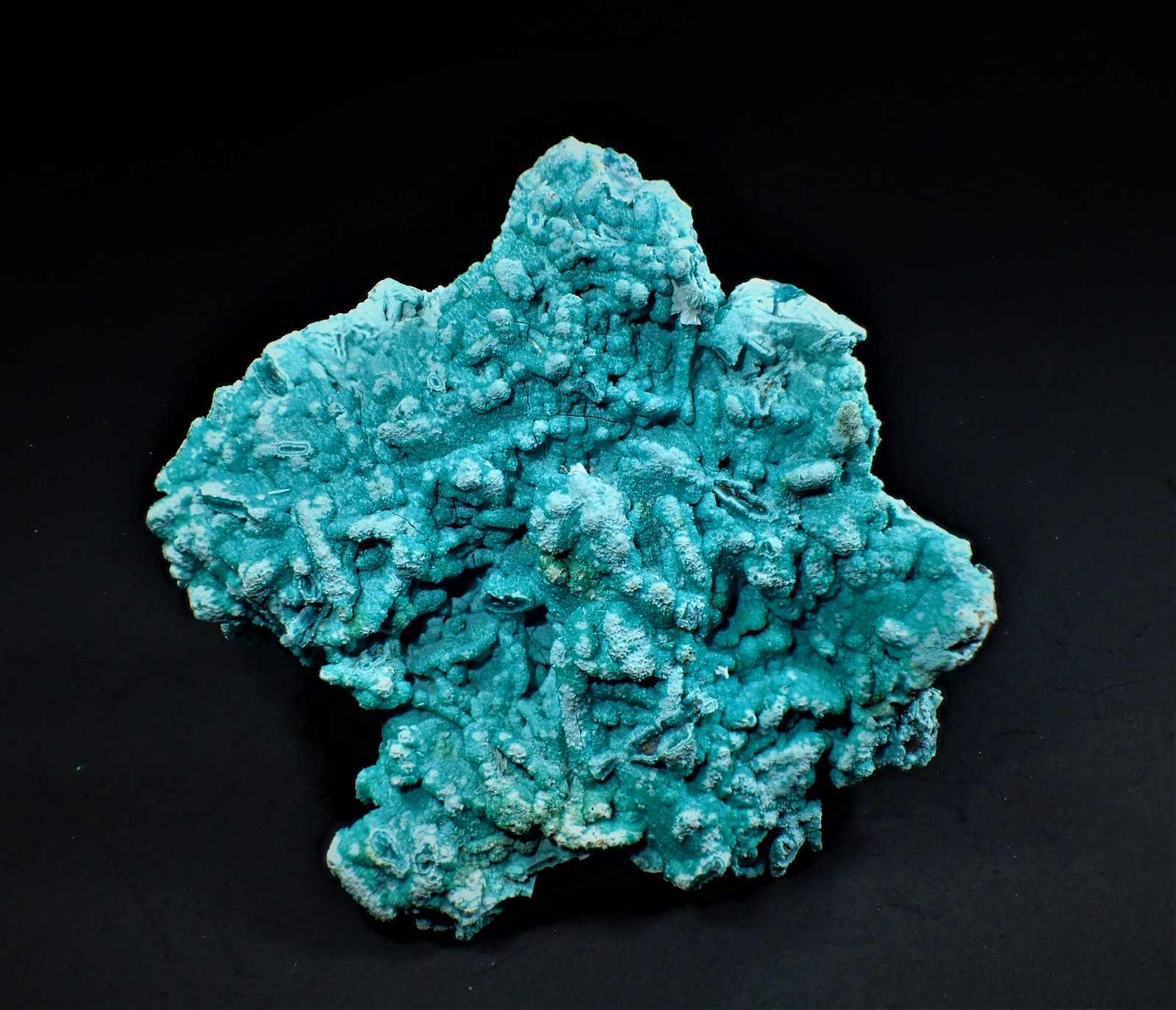 Chrysocolla
58 mm x 52 mm x 32 mm
(Autor: Don Lum)
