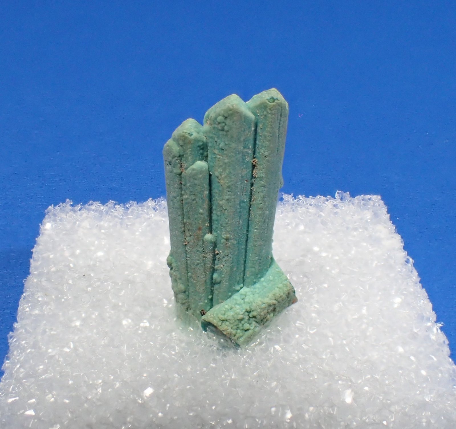 Chrysocolla after Gypsum or Azurite
17 mm x 6 mm x 3 mm
(Autor: Don Lum)