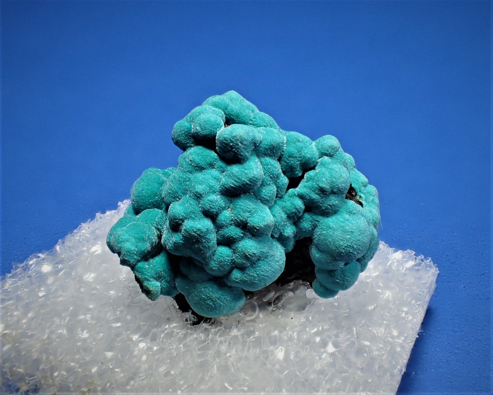 Rosasite
18 mm x 18 mm x 13 mm
(Autor: Don Lum)