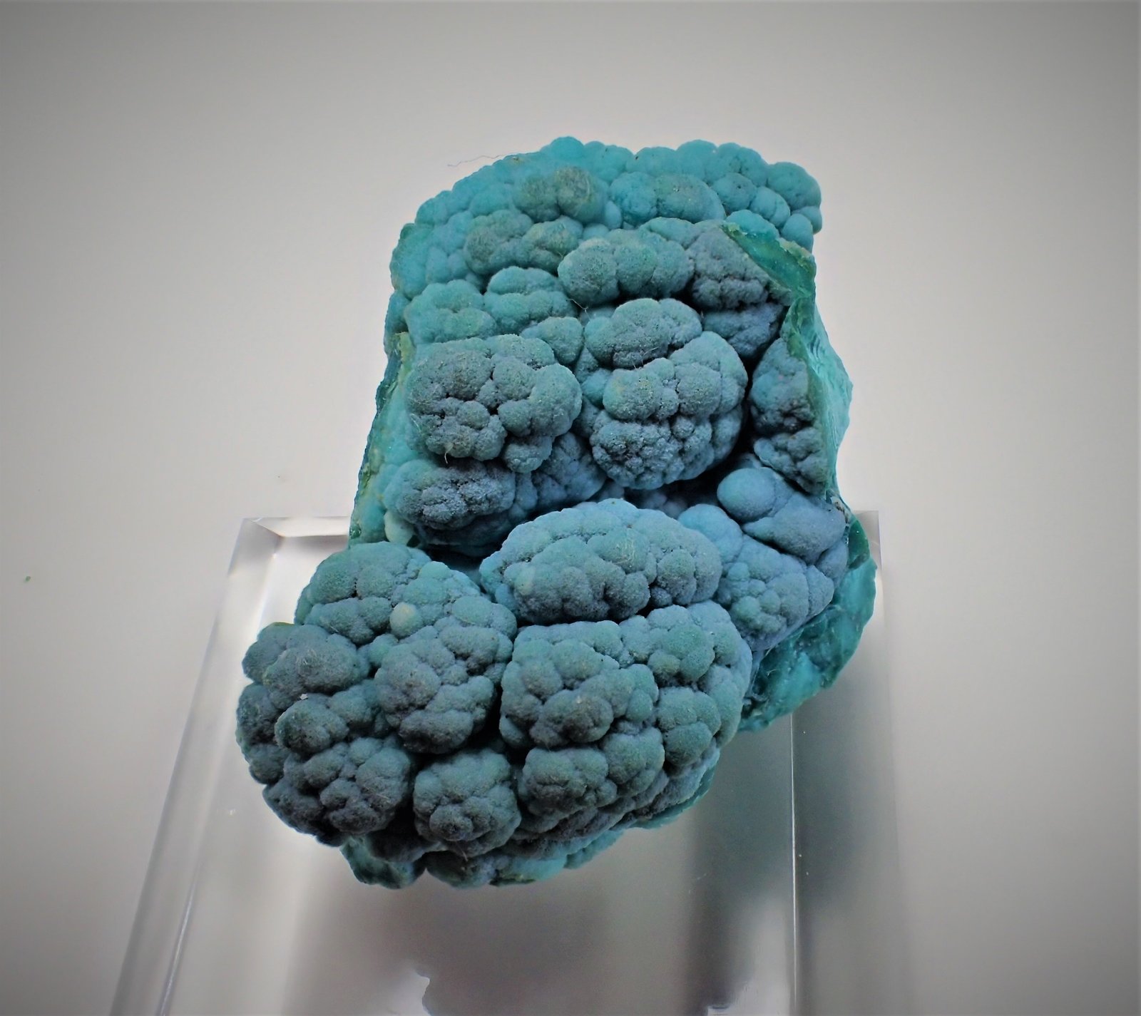 Chrysocolla
33 mm x 23 mm x 19 mm
(Autor: Don Lum)