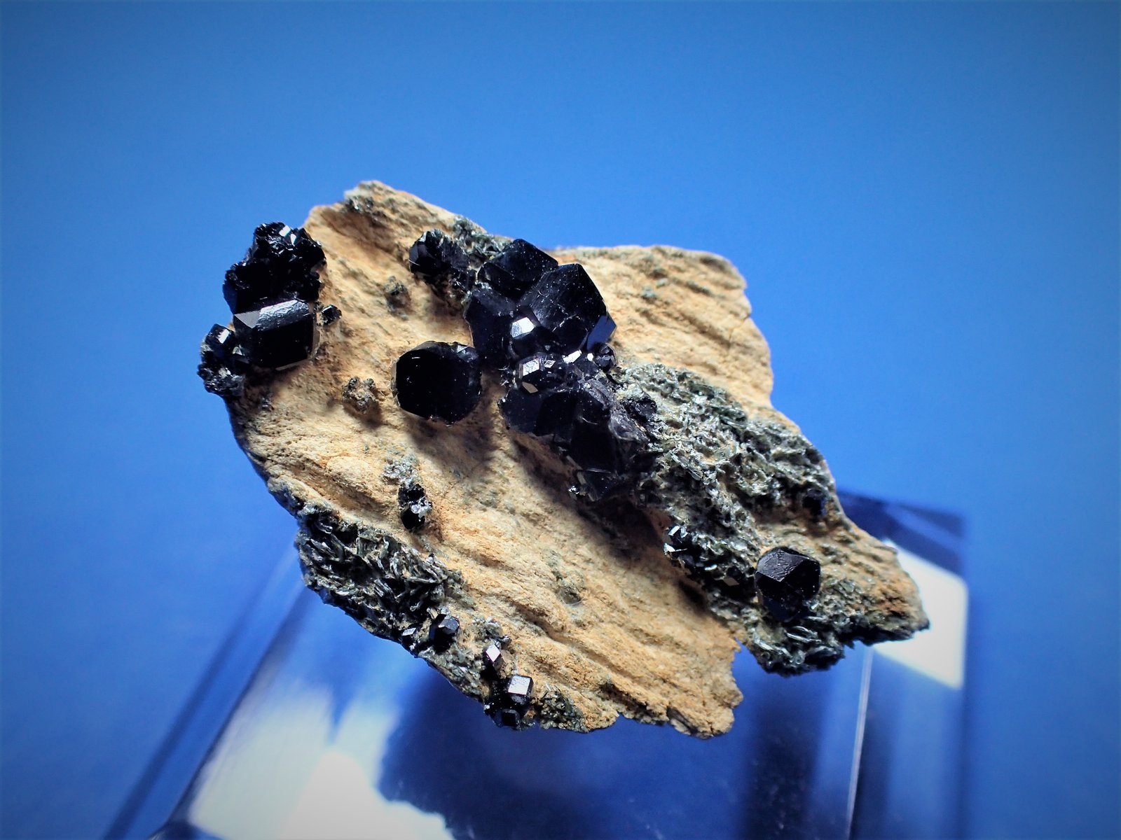 Andradite (variety melanite garnet)
26 mm x 16 mm x 15 mm
(Autor: Don Lum)