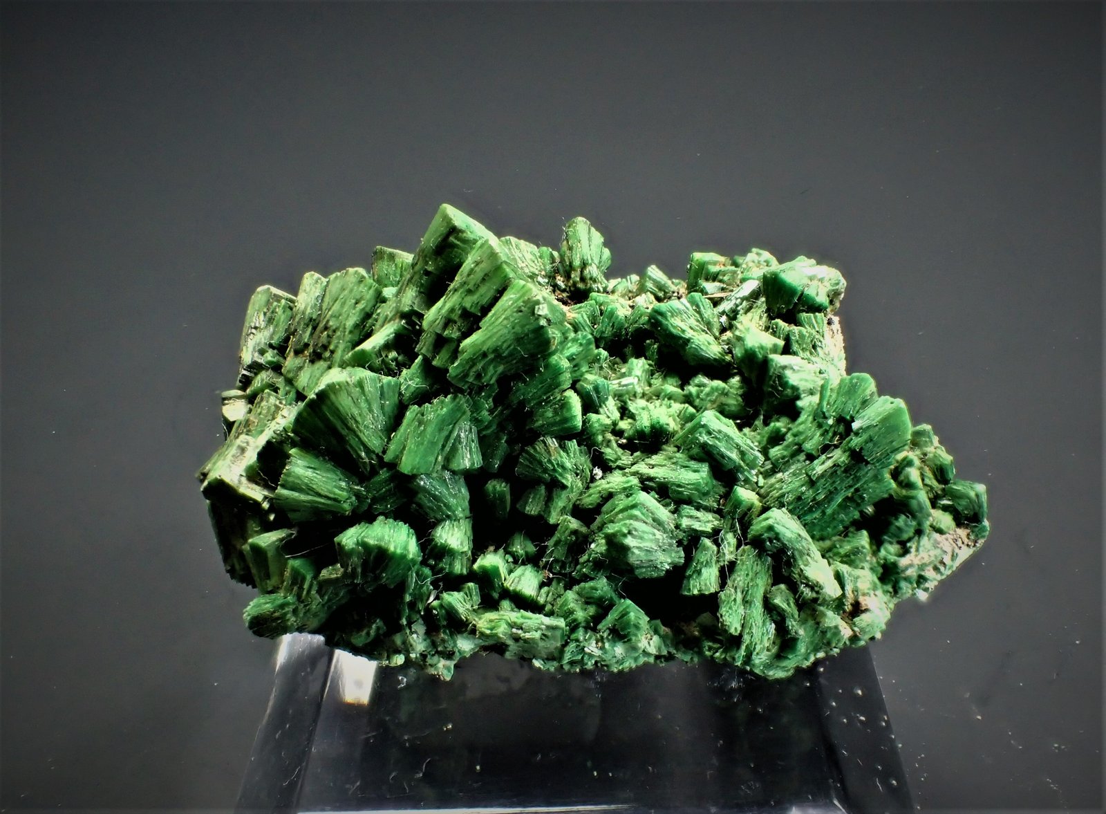 Torbernite
41 mm x 25 mm x 25 mm
(Autor: Don Lum)