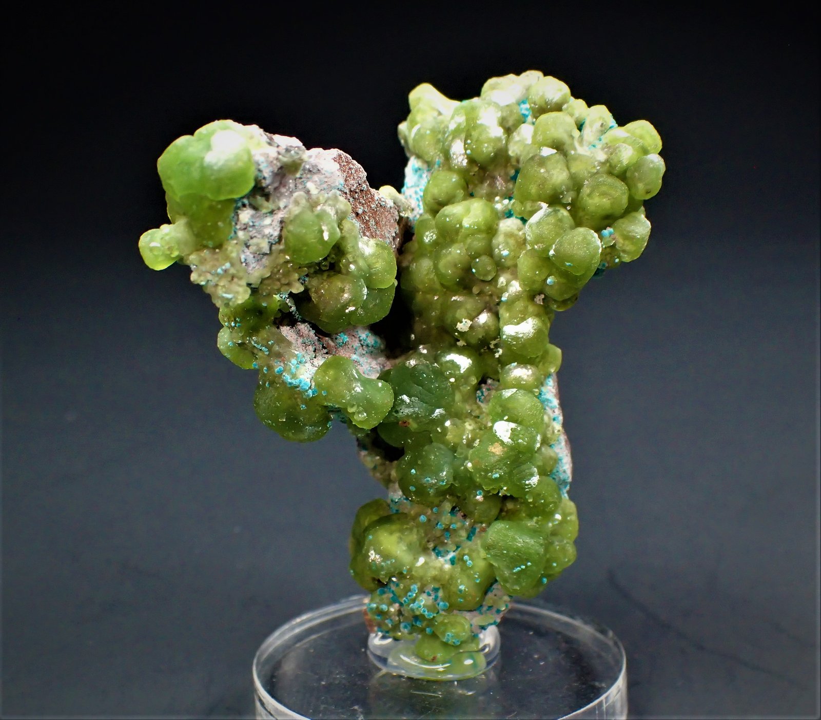 Smithsonite, Rosasite, Hemimorphite
55 mm x 45 mm x 40 mm
(Autor: Don Lum)