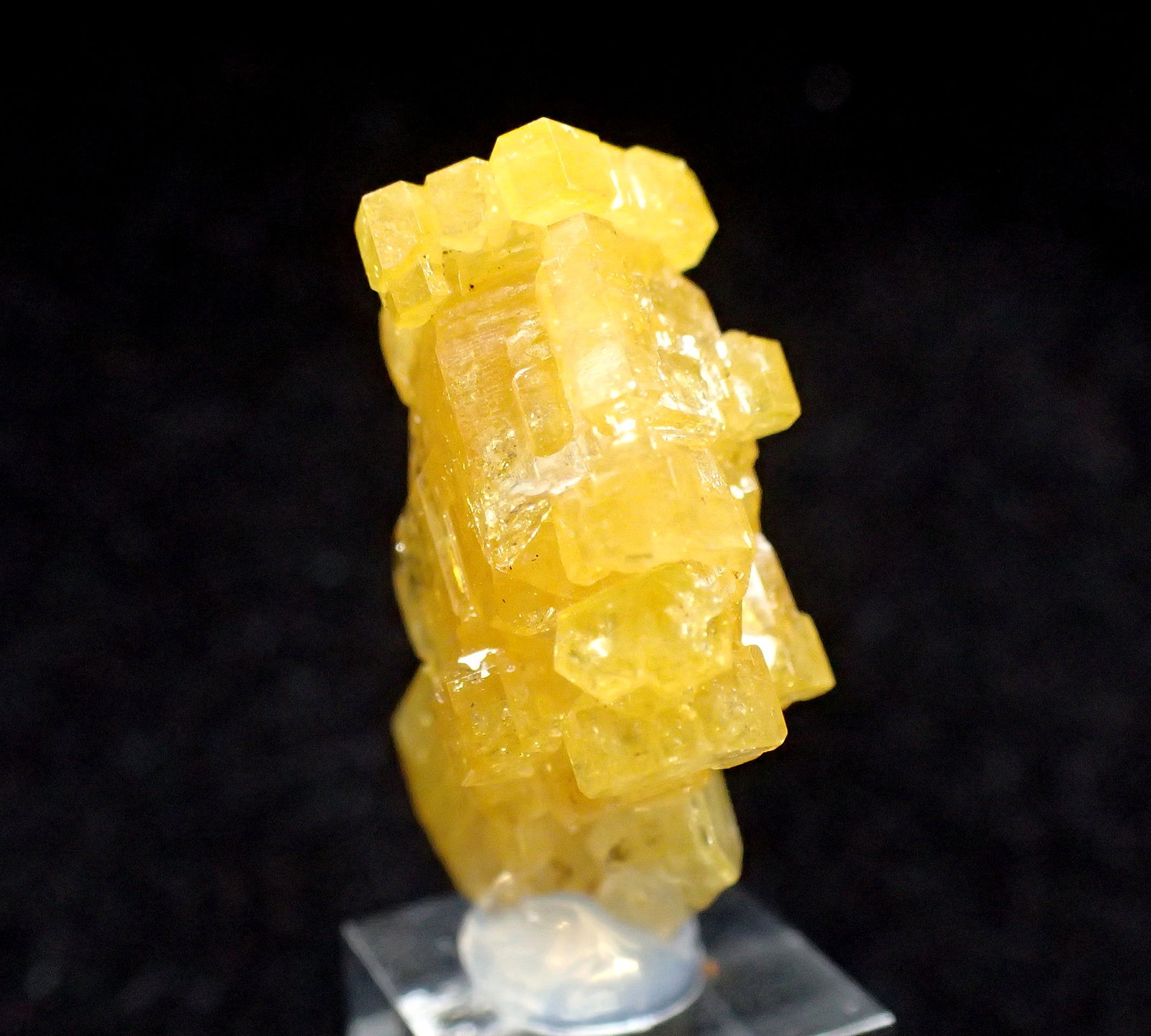 Mimetite
21 mm x 13 mm x 8 mm
(Autor: Don Lum)