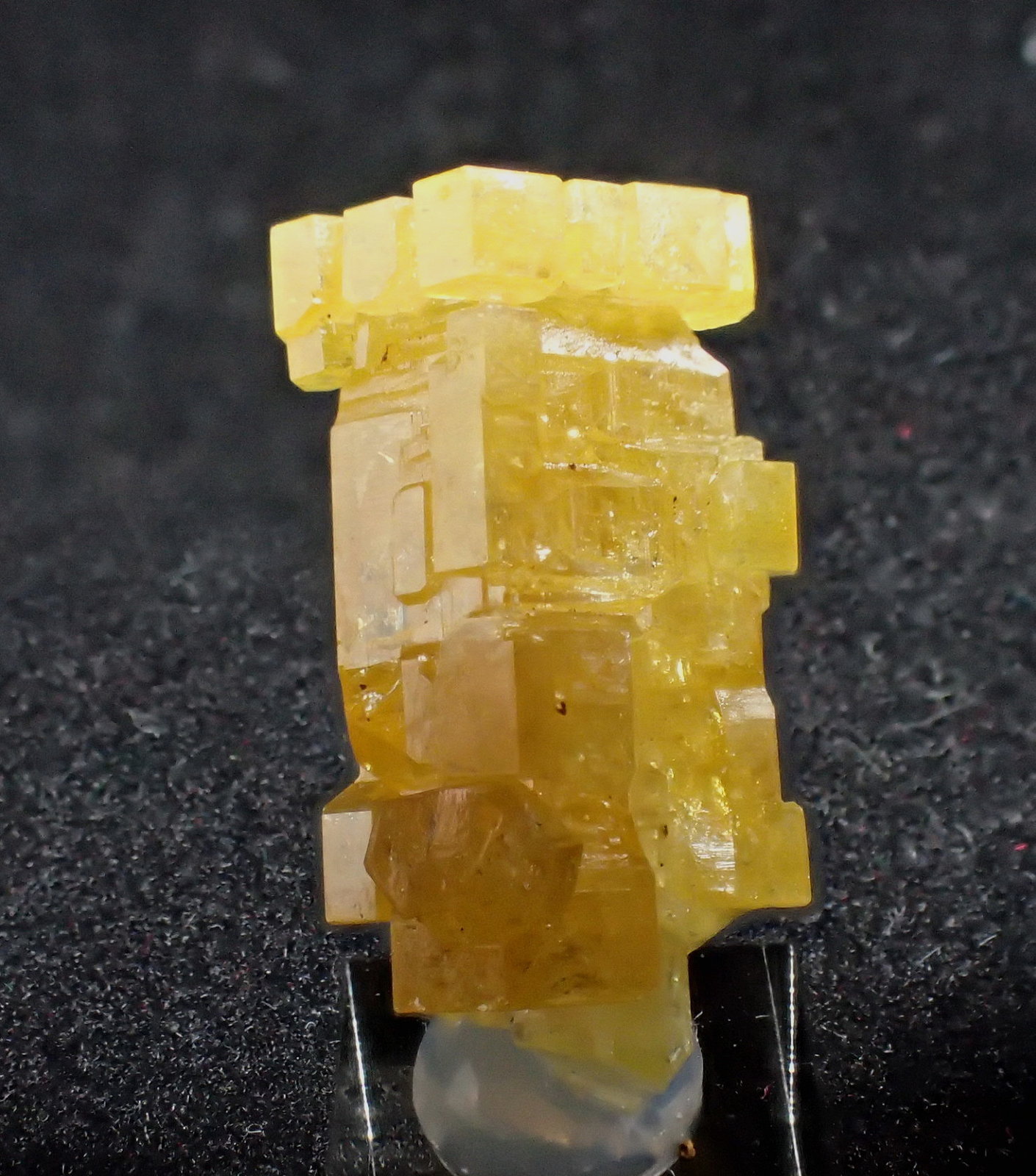 Mimetite
21 mm x 13 mm x 8 mm
(Autor: Don Lum)