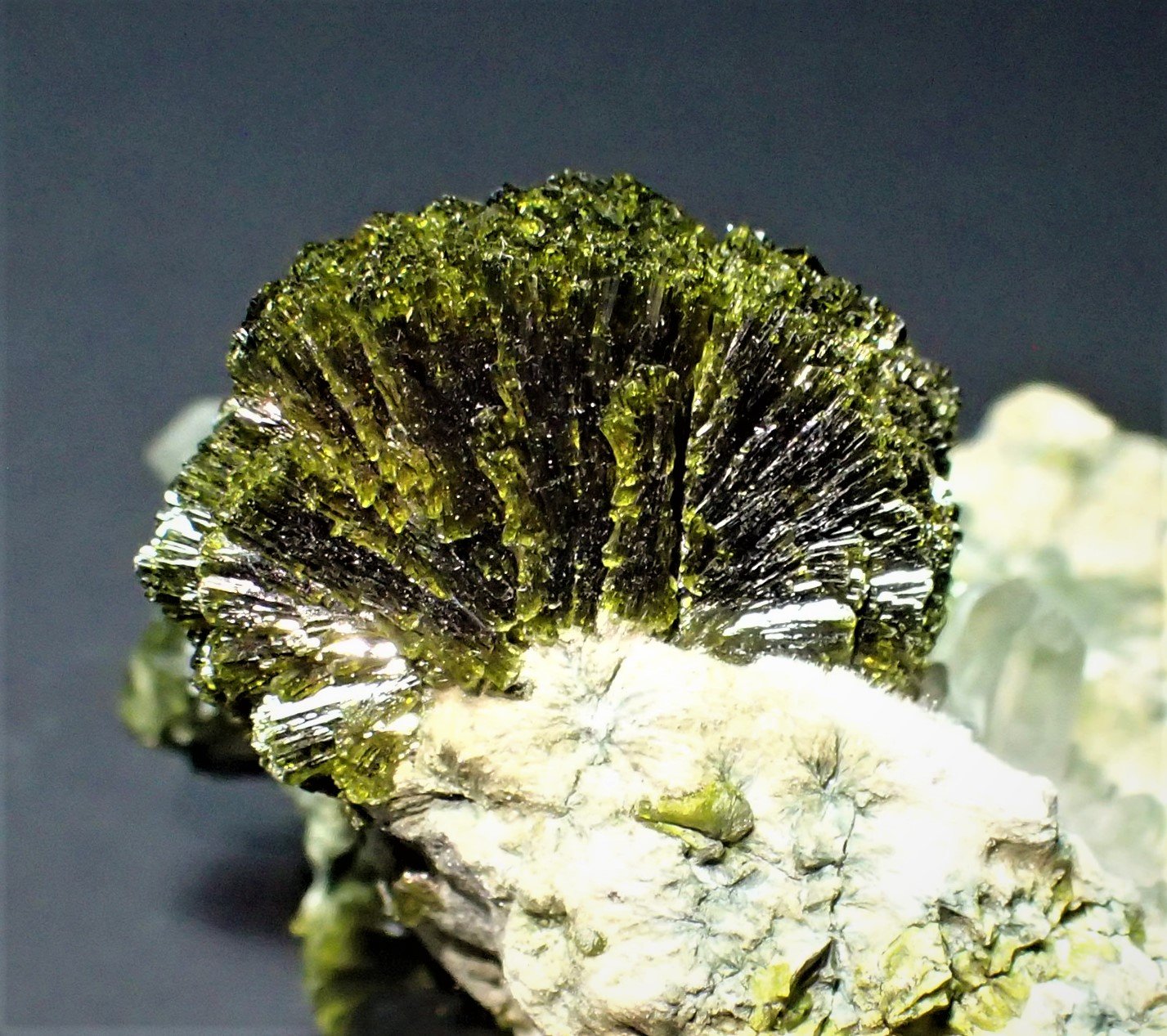 Epidote, Quartz
43 mm x 40 mm x 34 mm
(Autor: Don Lum)