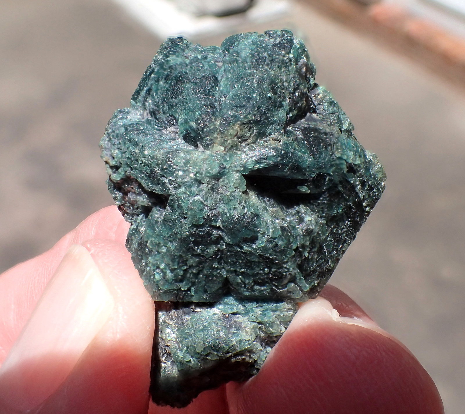 Chrysoberyl (variety Alexandrite)
34 mm x 24 mm x 17 mm
(Autor: Don Lum)