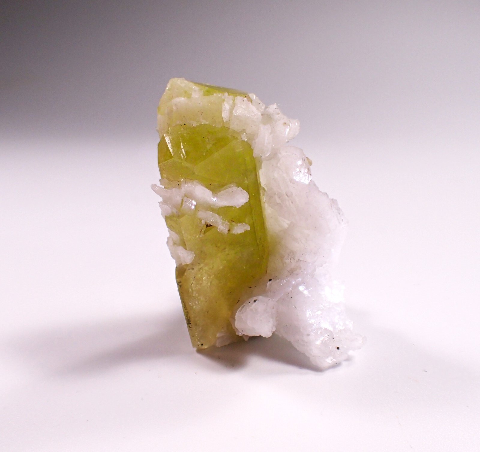 Brazilianite, Albite (variety cleavelandite)
37 mm x 20 mm x 25 mm
(Autor: Don Lum)