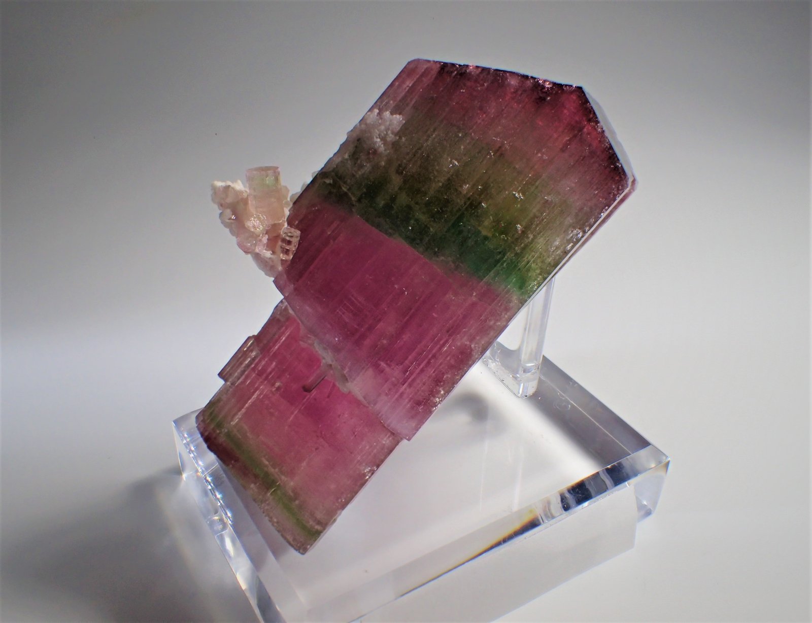 Elbaite (Tourmaline Group), Albite (variety cleavelandite)
115 mm x 67 mm x 55 mm
(Autor: Don Lum)