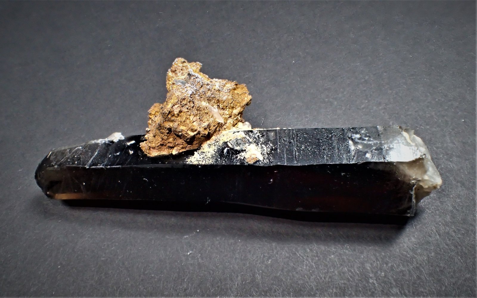 Quartz (variety smoky quartz, variety dauphine law twin), Goethite after Siderite
84 mm x 32 mm 26 mm
(Autor: Don Lum)