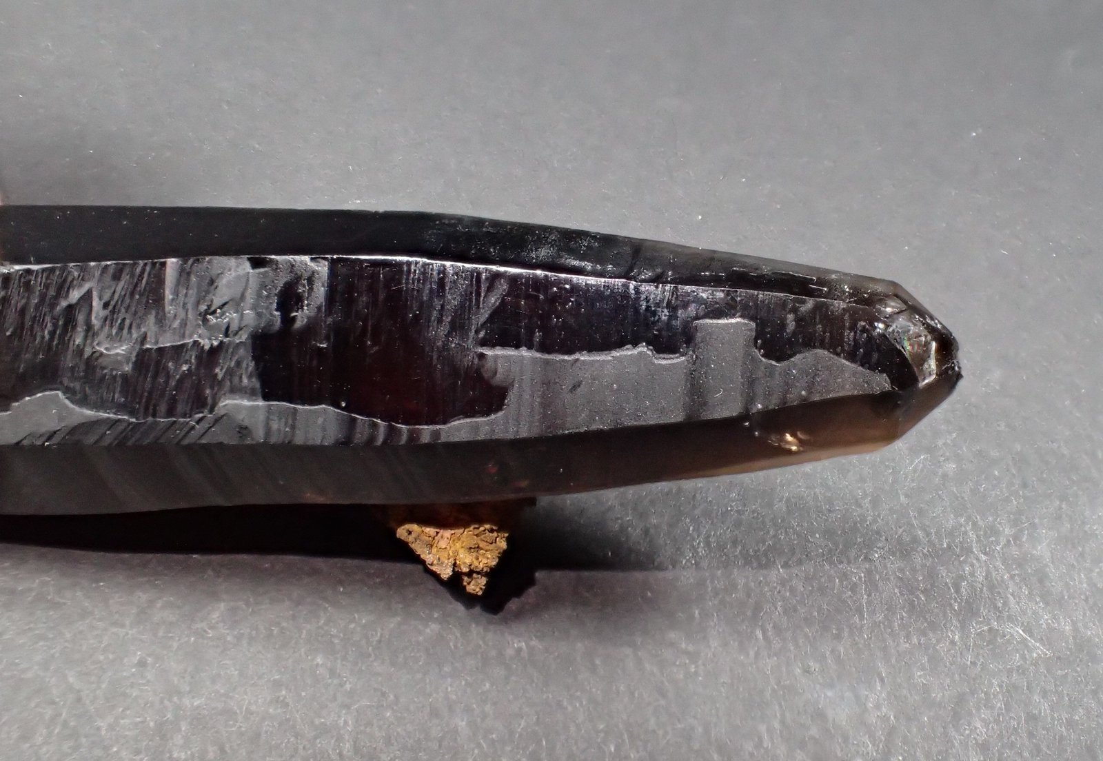 Quartz (variety smoky quartz, variety dauphine law twin), Goethite after Siderite
84 mm x 32 mm x 26 mm
(Autor: Don Lum)