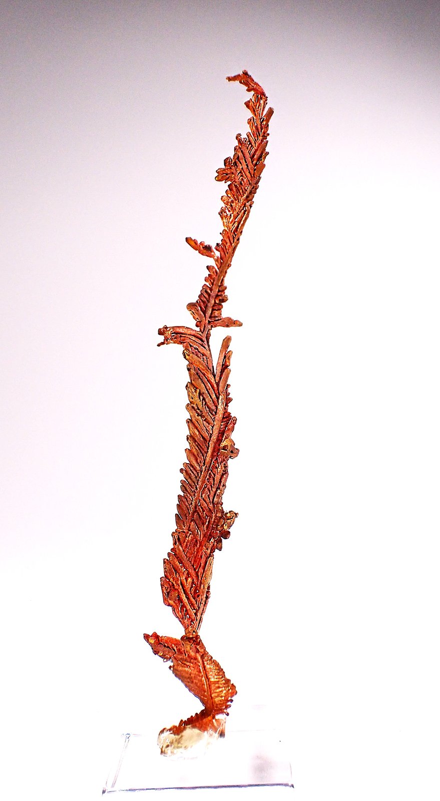 Copper
77 mm x 12 mm x 11 mm
(Autor: Don Lum)