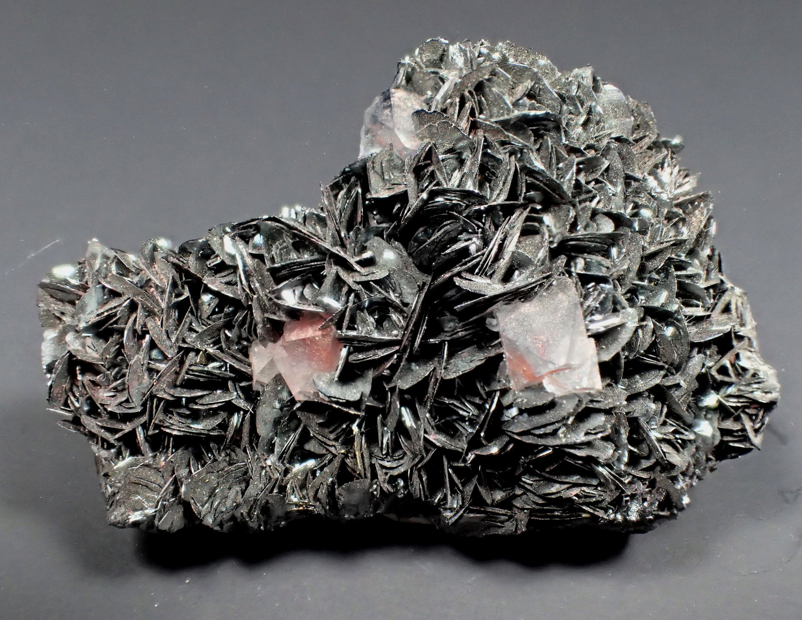 Hematite (variety specularite) on kidney ore, Quartz
52 mm x 33 mm x 18 mm
(Autor: Don Lum)